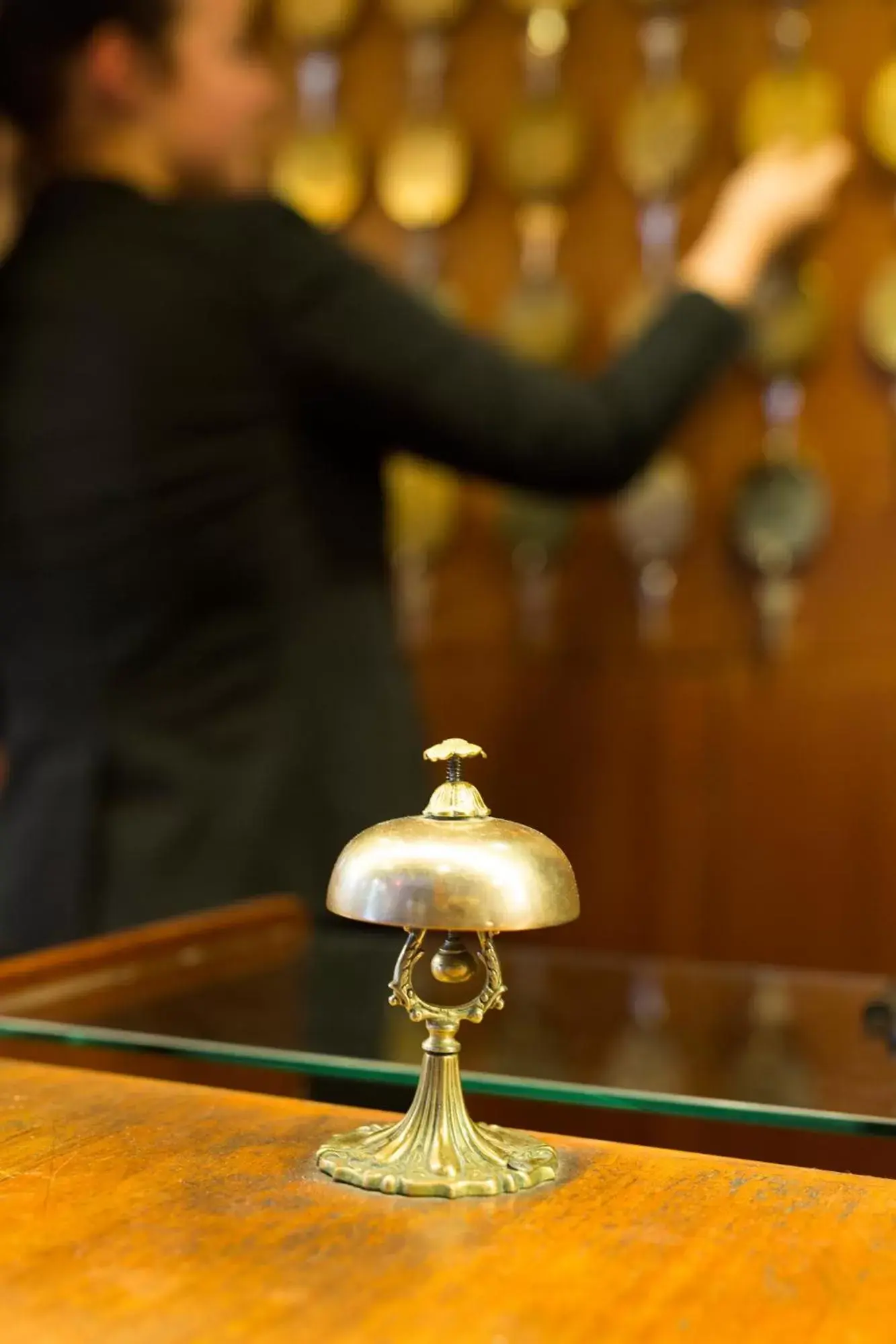 Lobby or reception in Lady Hamilton Apartments Lobby or reception in Lady Hamilton Apartments