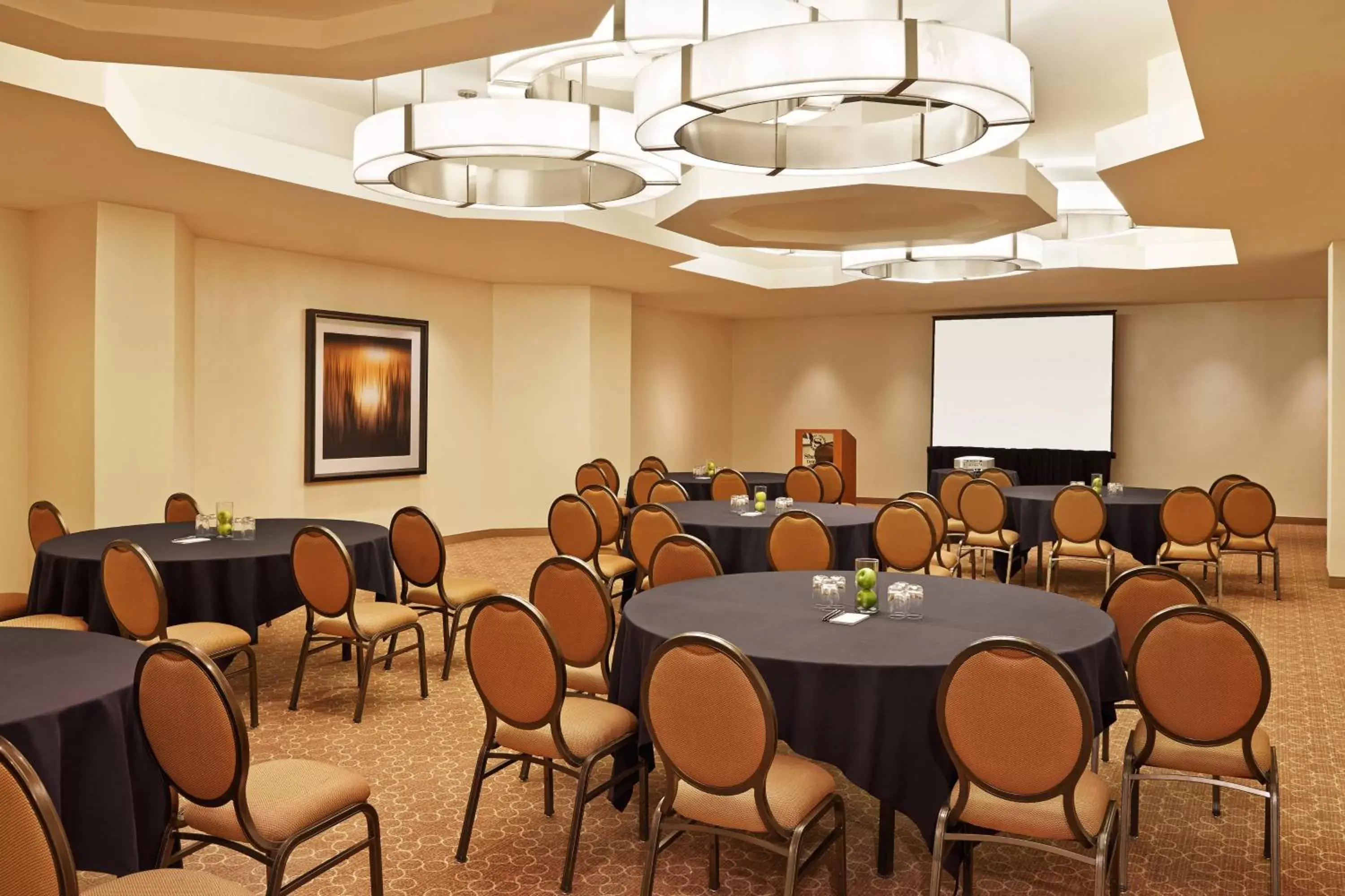 Meeting/conference room in Sheraton Detroit Novi