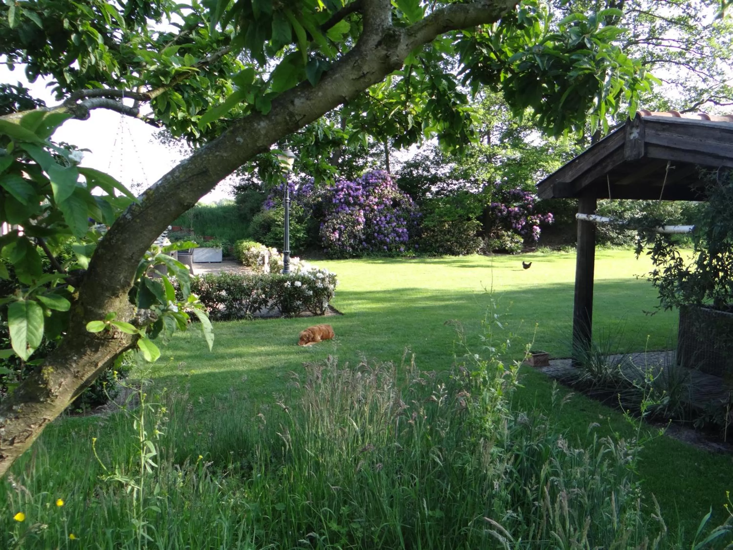 Other in B&B Gastvrij Lenthe