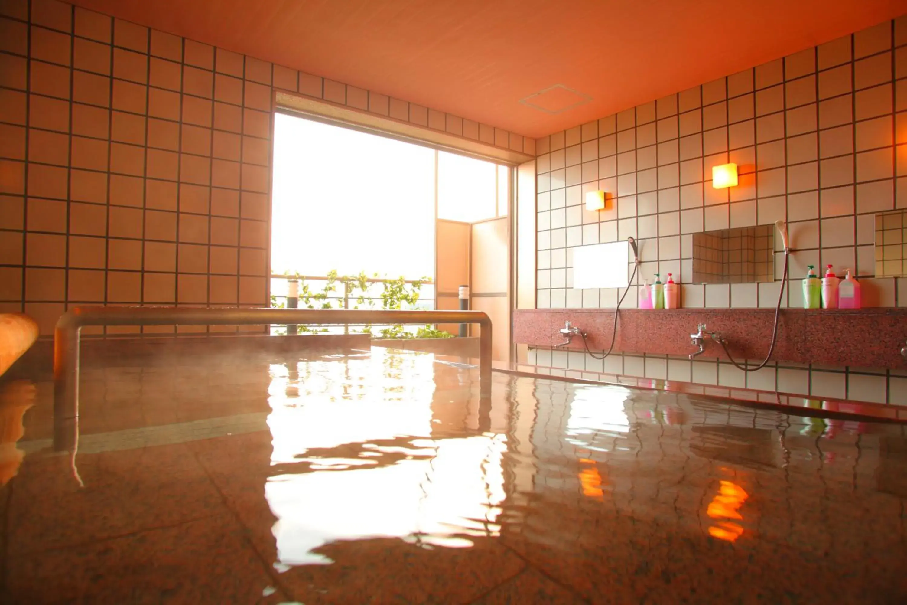 Hot Spring Bath, Swimming Pool in Himi Onsenkyo Eihokaku