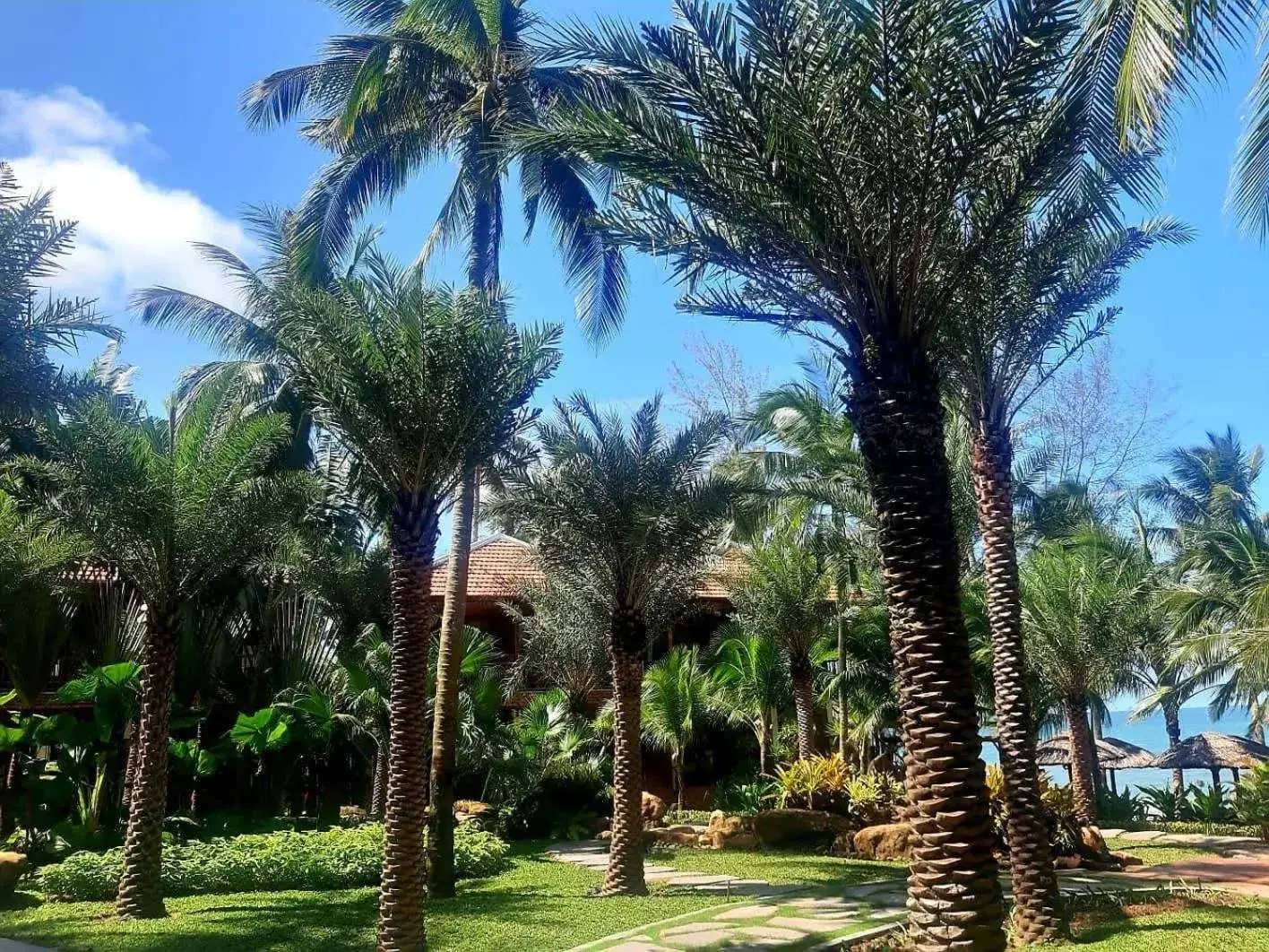 Garden in Coco Palm Beach Resort & Spa