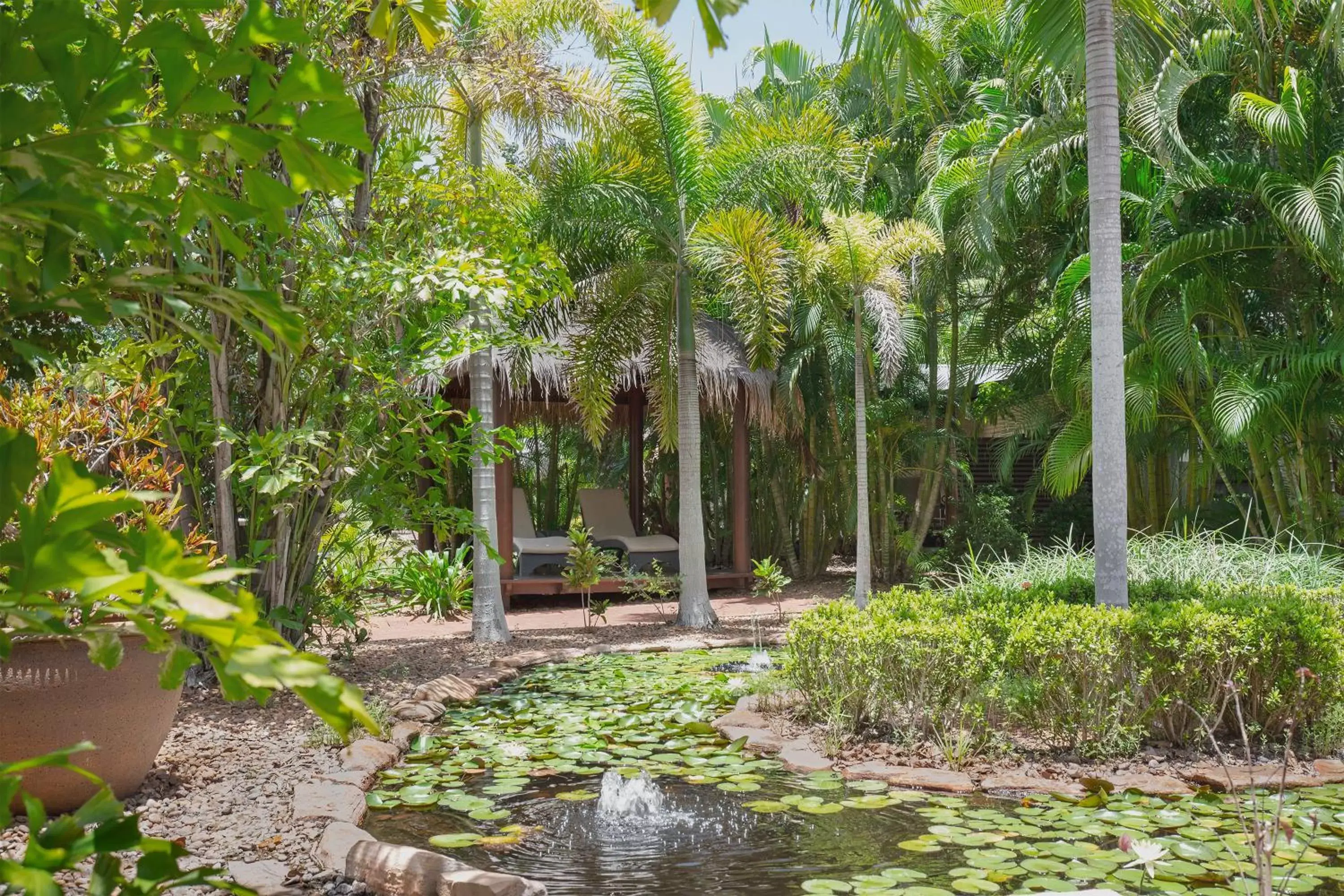 Garden in Mantra Frangipani Broome