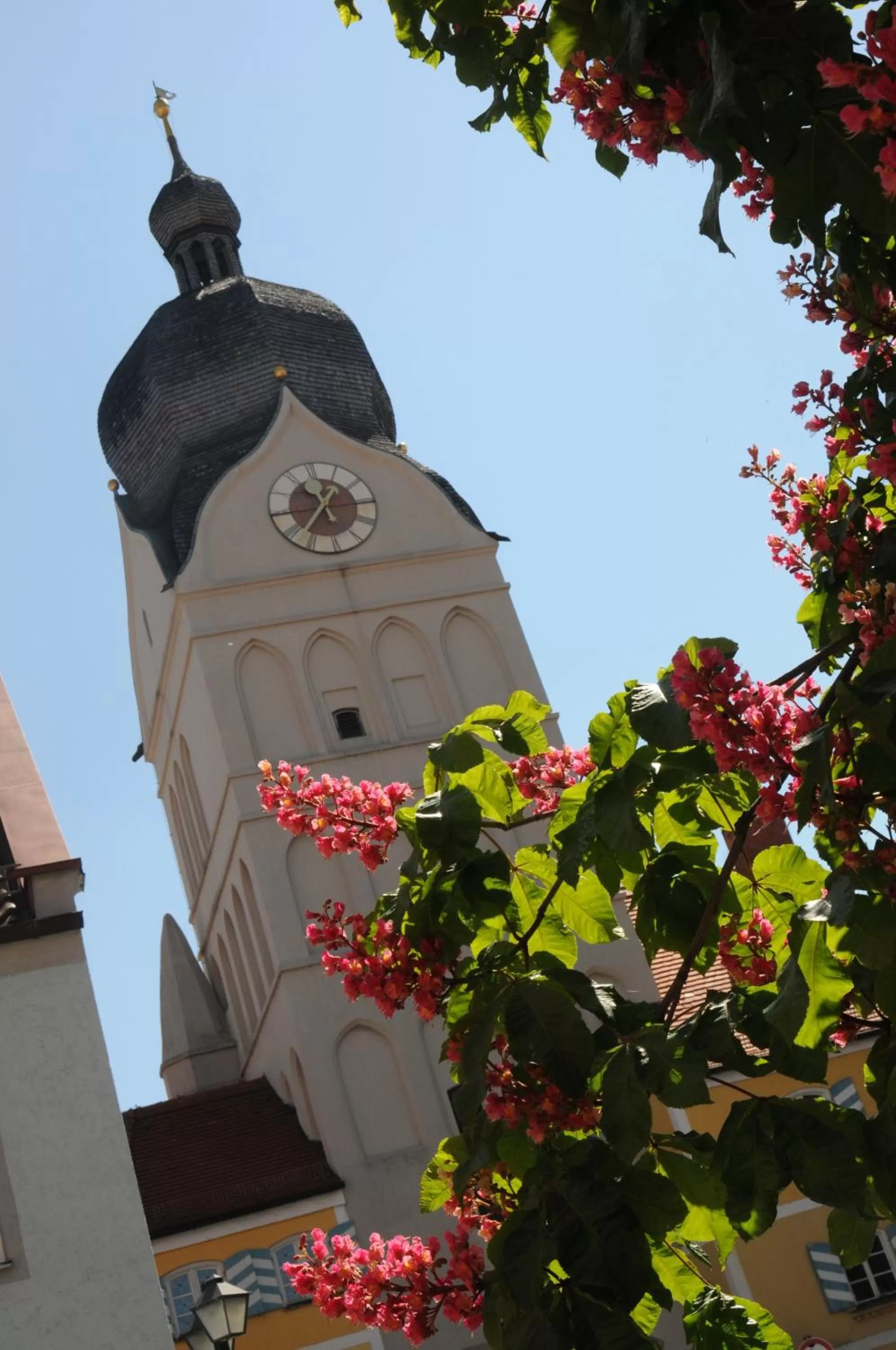 Area and facilities in AKZENT Hotel Aufkirchen