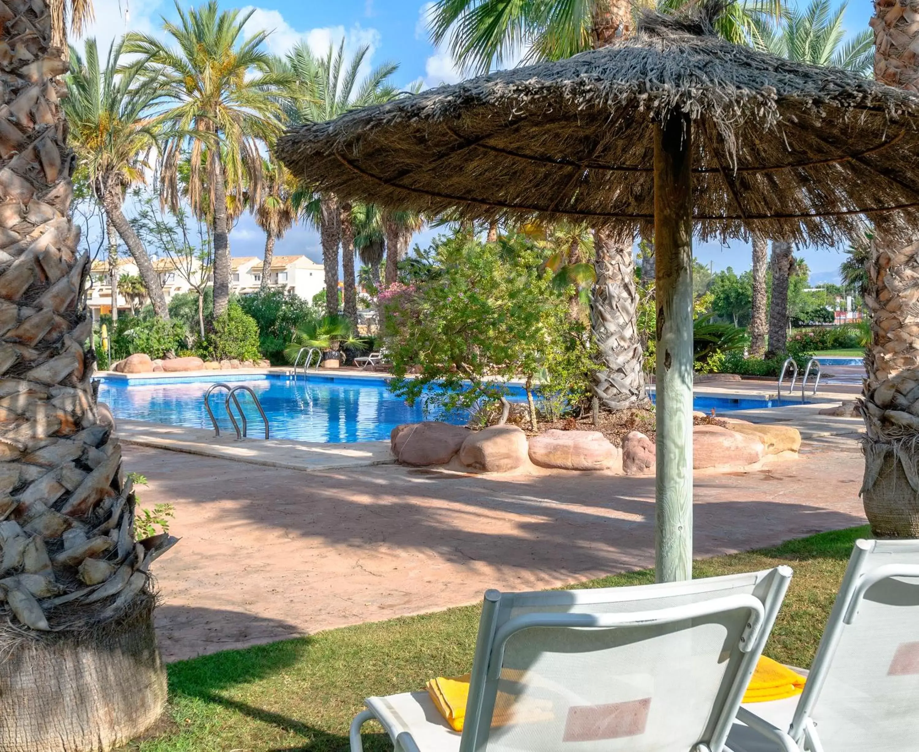 Summer, Swimming Pool in Hotel Alicante Golf
