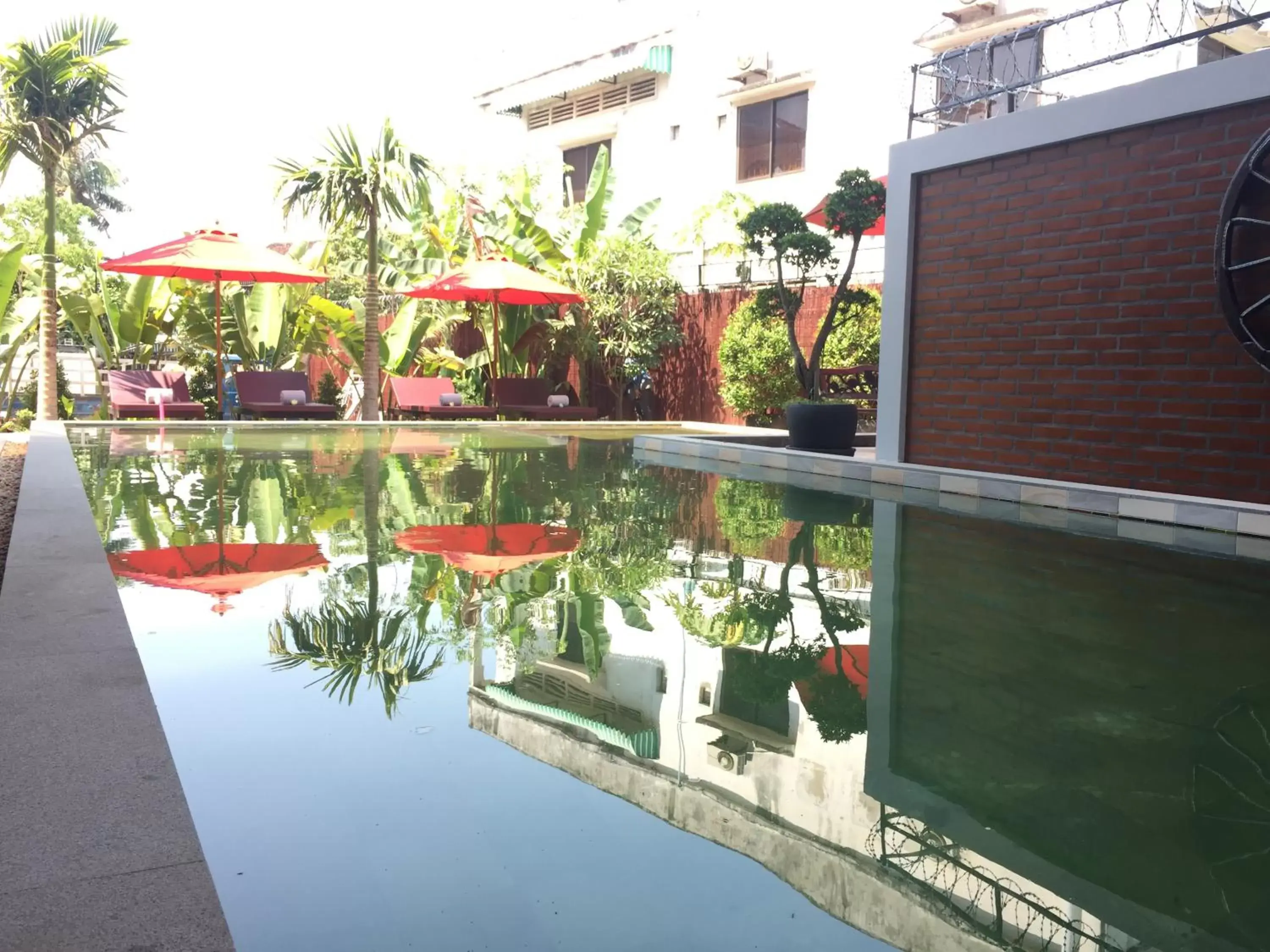 Swimming pool, Pool View in BB Angkor Residence