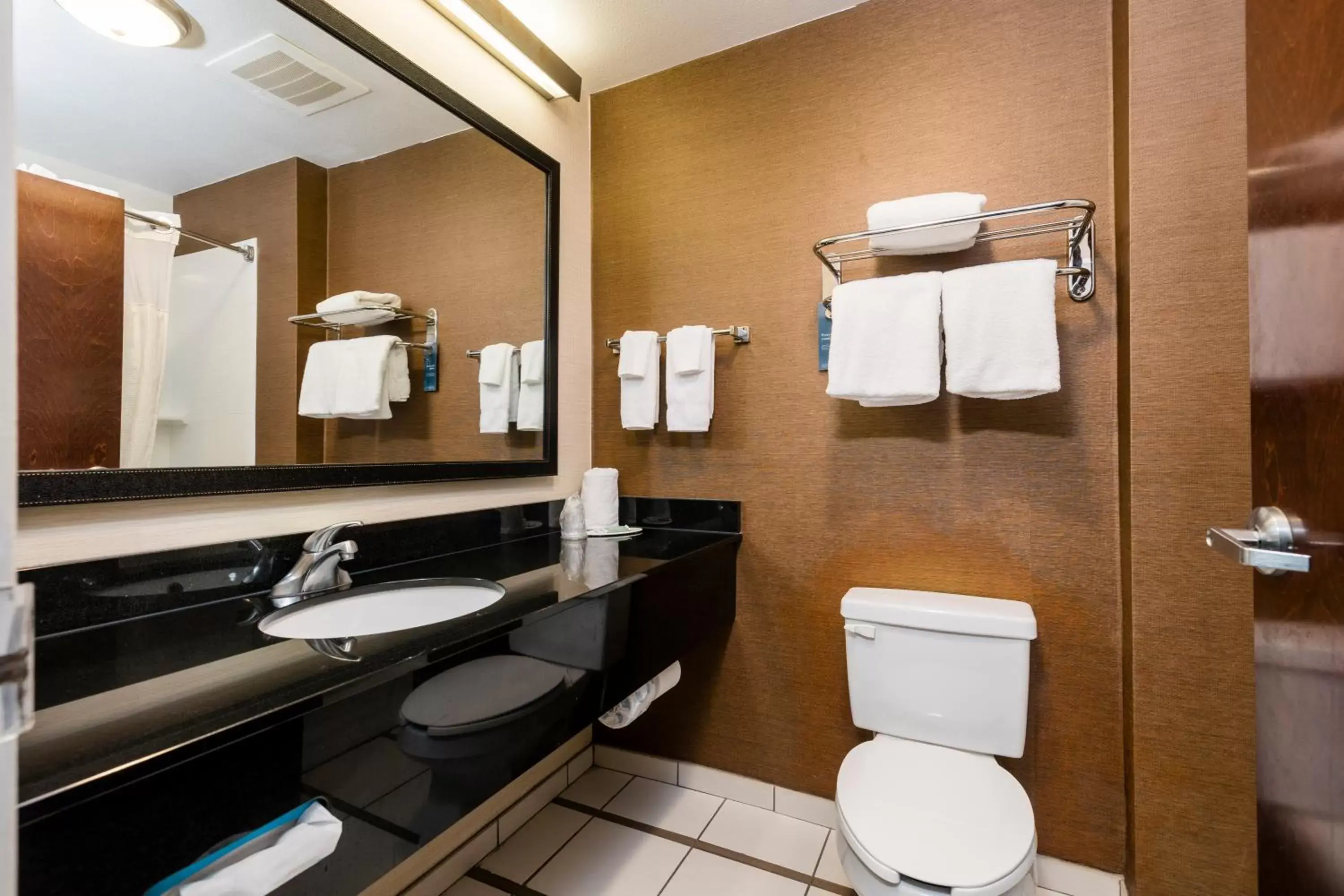 Bathroom in Fairfield Inn & Suites by Marriott Charleston North/Ashley Phosphate