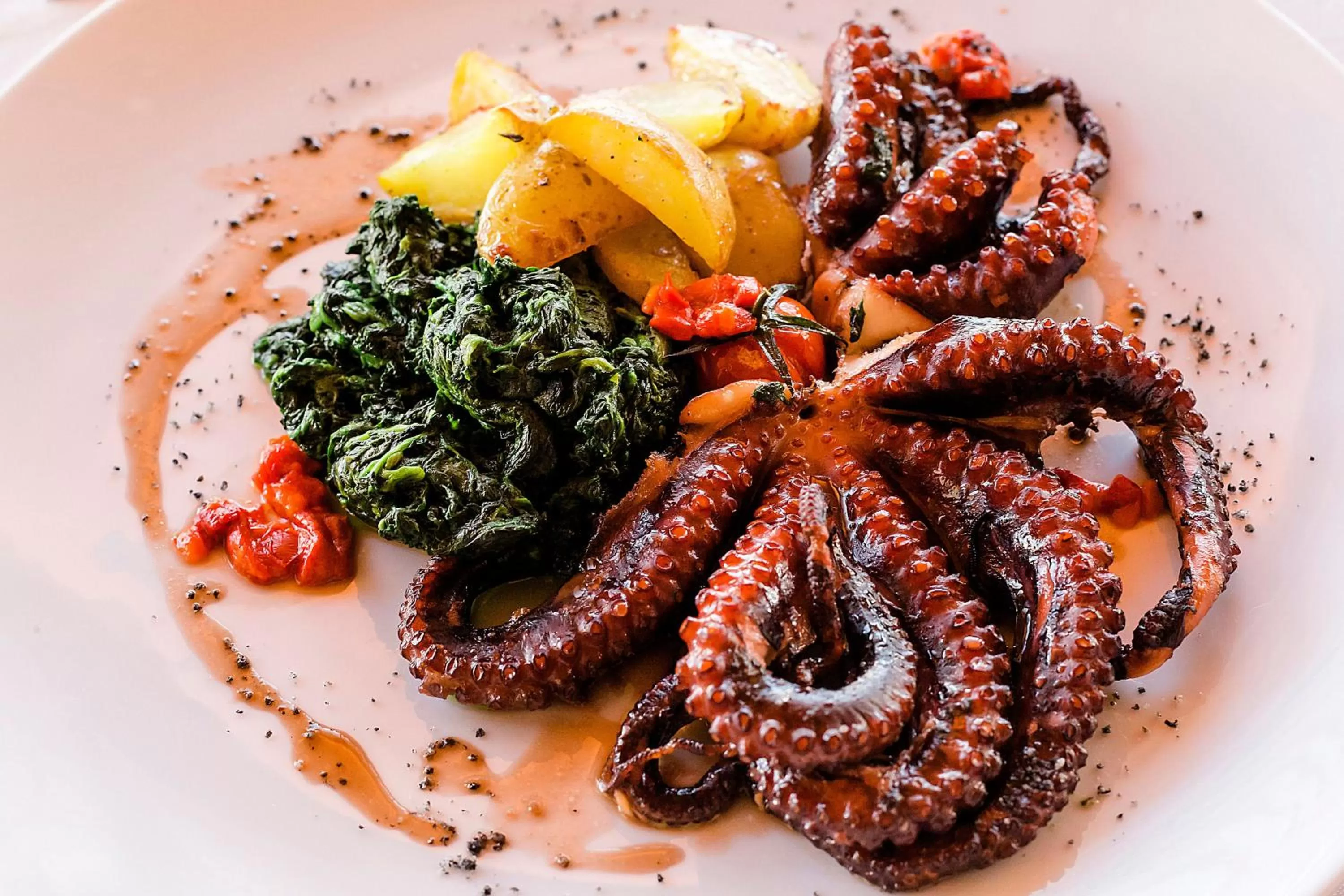 Food and drinks in Hotel Lusitano