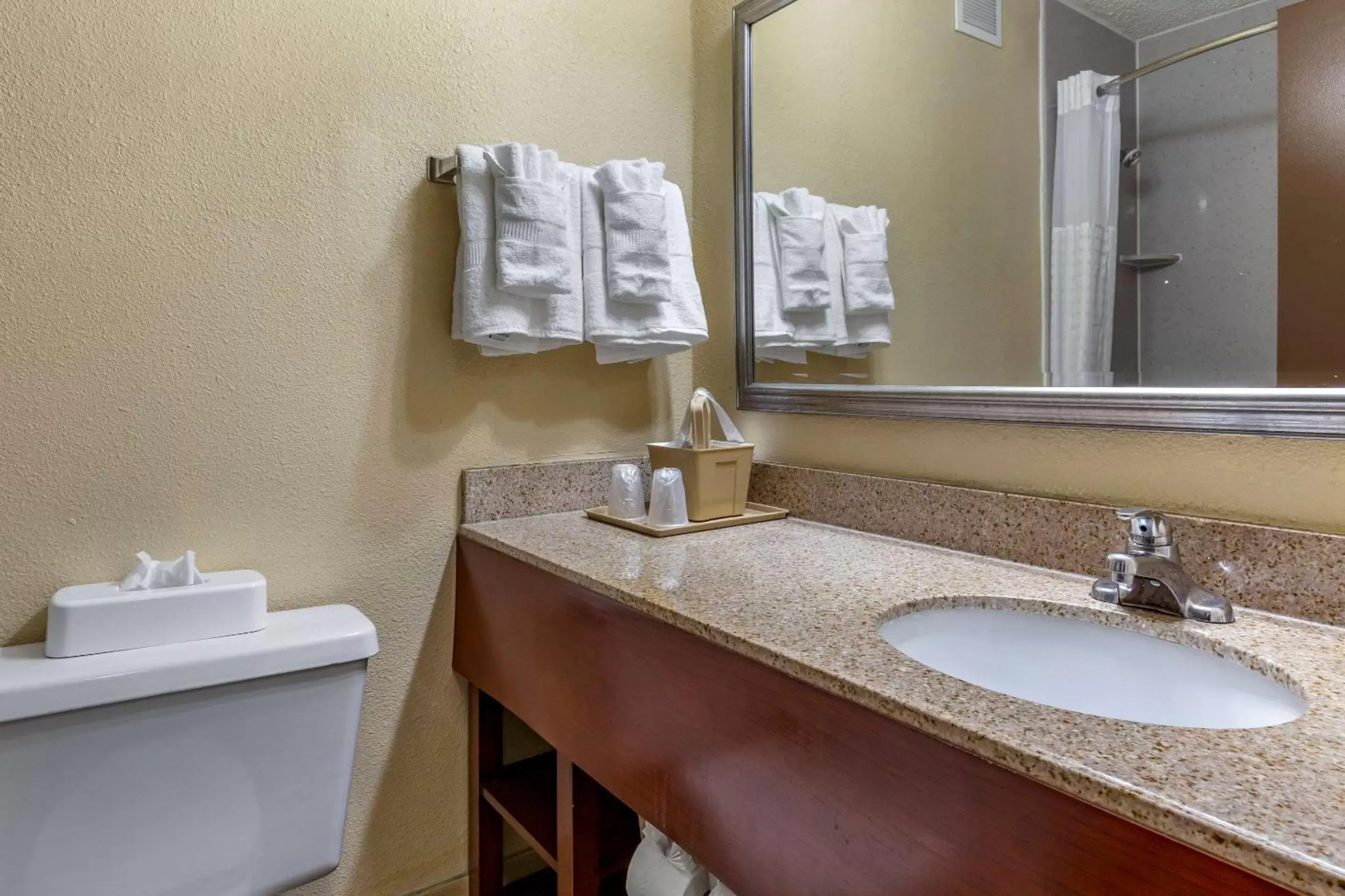 Bathroom in Comfort Inn At the Park