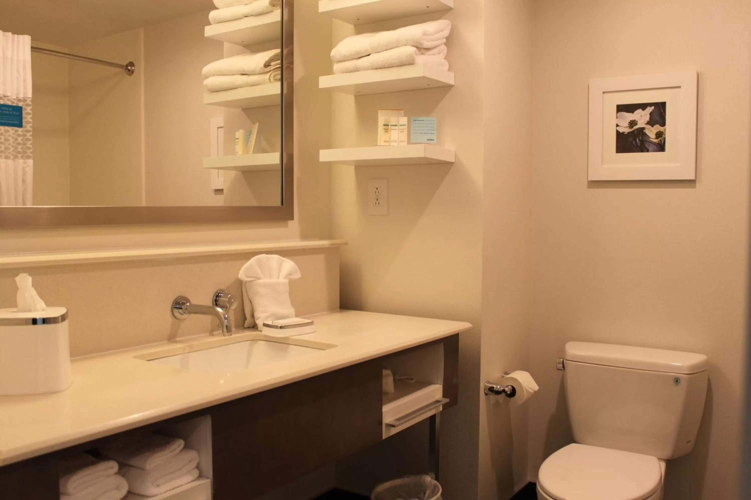 Bathroom in Hampton Inn Bainbridge, GA