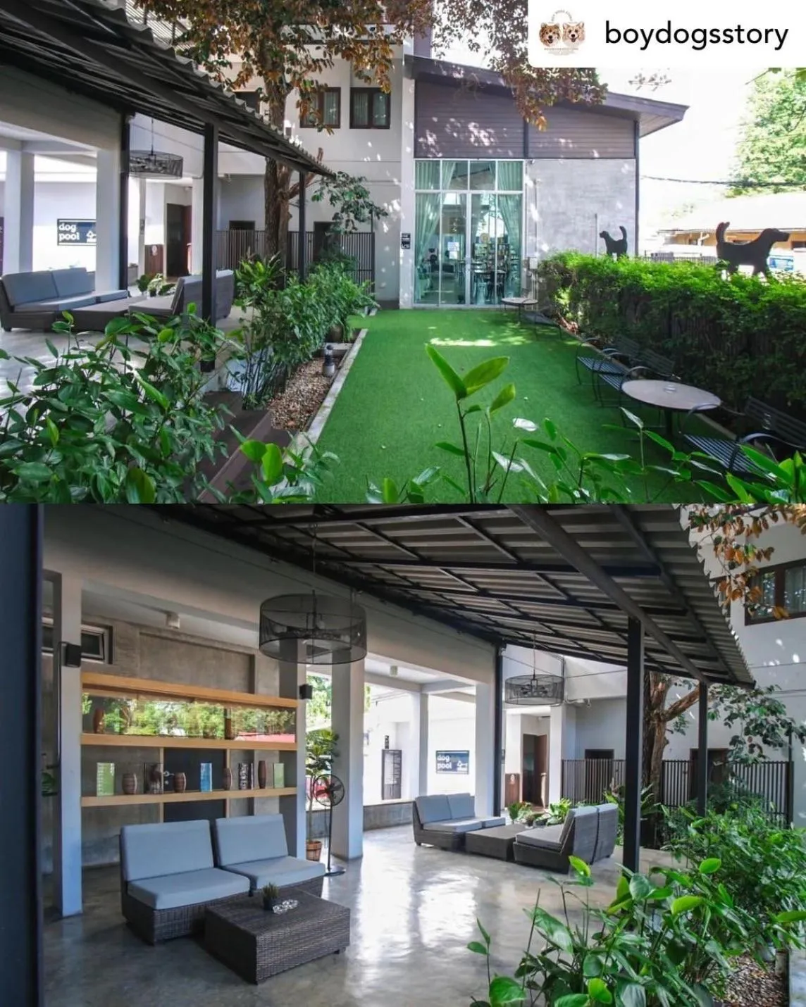 Area and facilities in Ketawa Pet Friendly Hotel