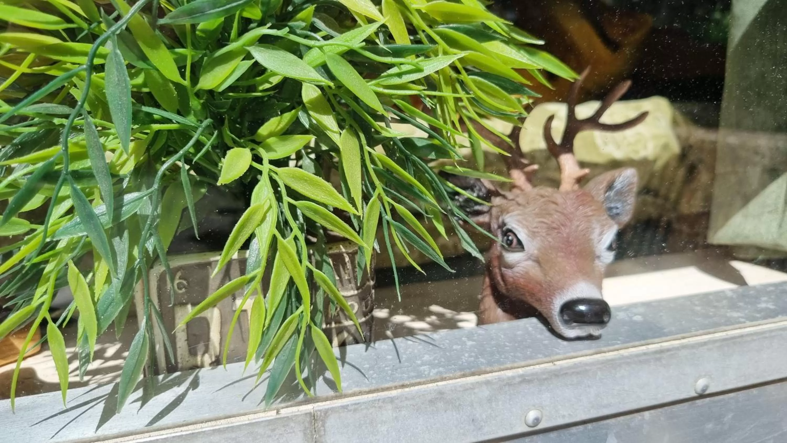 Decorative detail, Other Animals in AirstreamNB