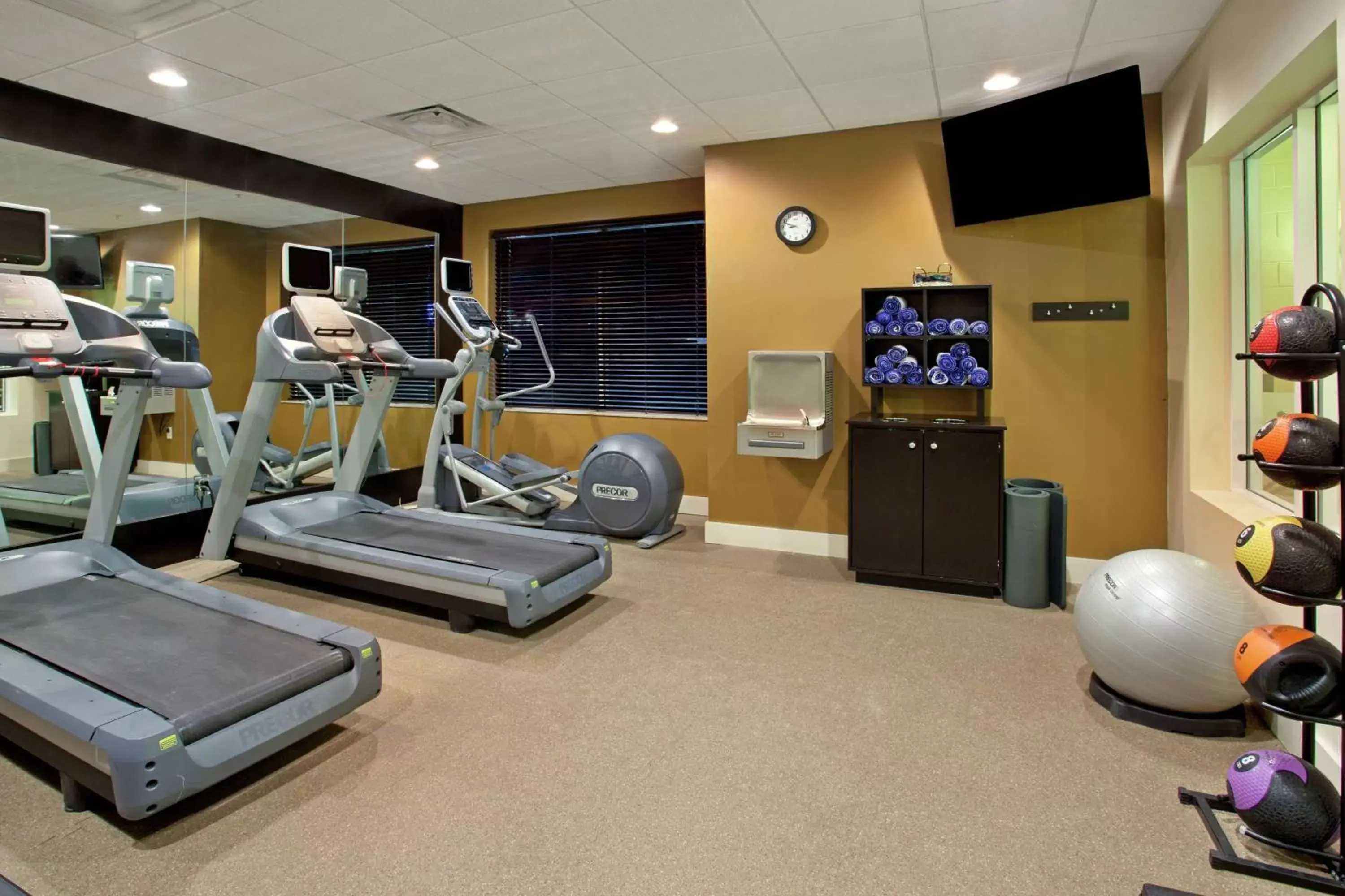 Fitness centre/facilities, Fitness Center/Facilities in Hilton Garden Inn Minneapolis/Eden Prairie