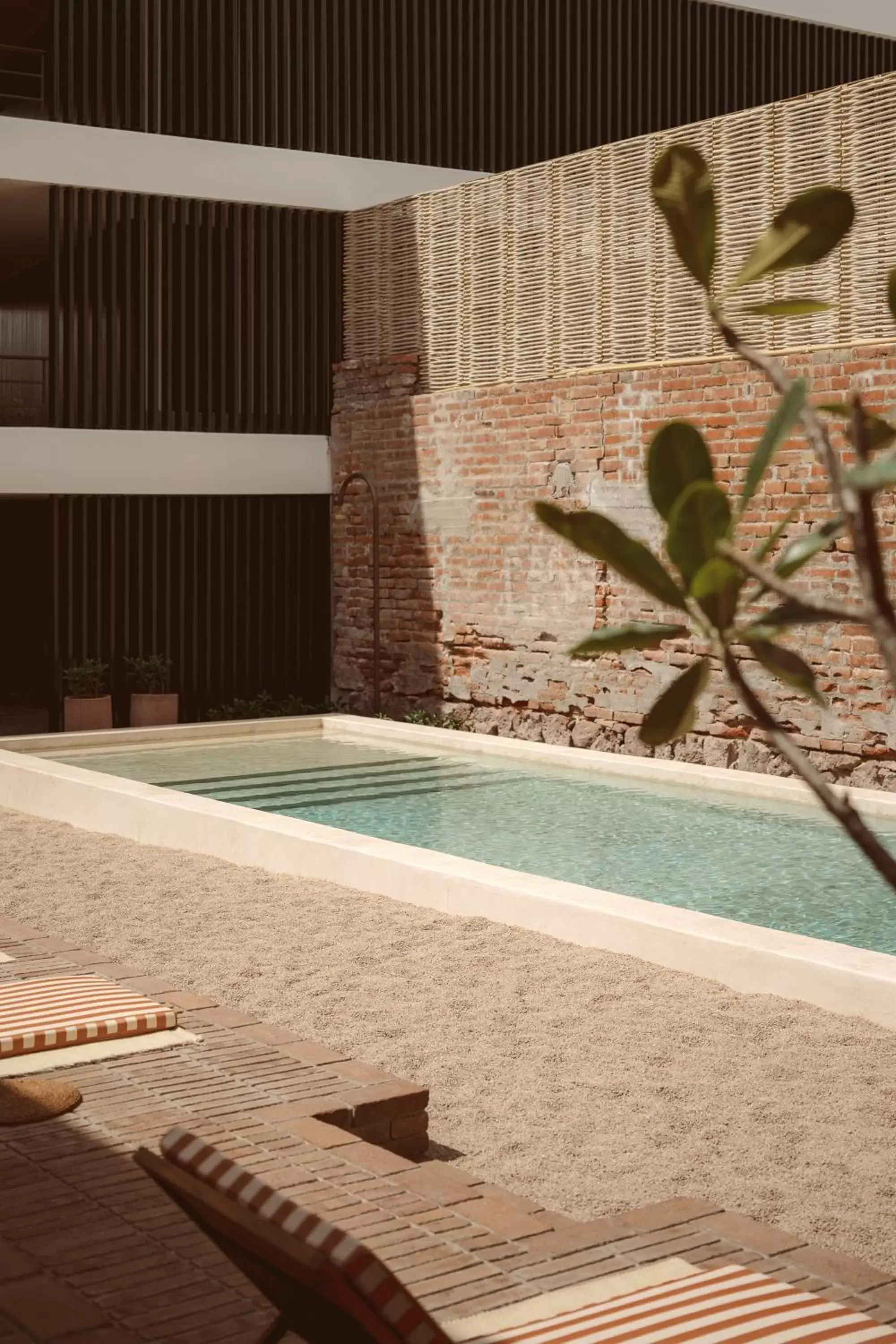 Swimming Pool in Baja Club Hotel, La Paz, Baja California Sur, a Member of Design Hotels