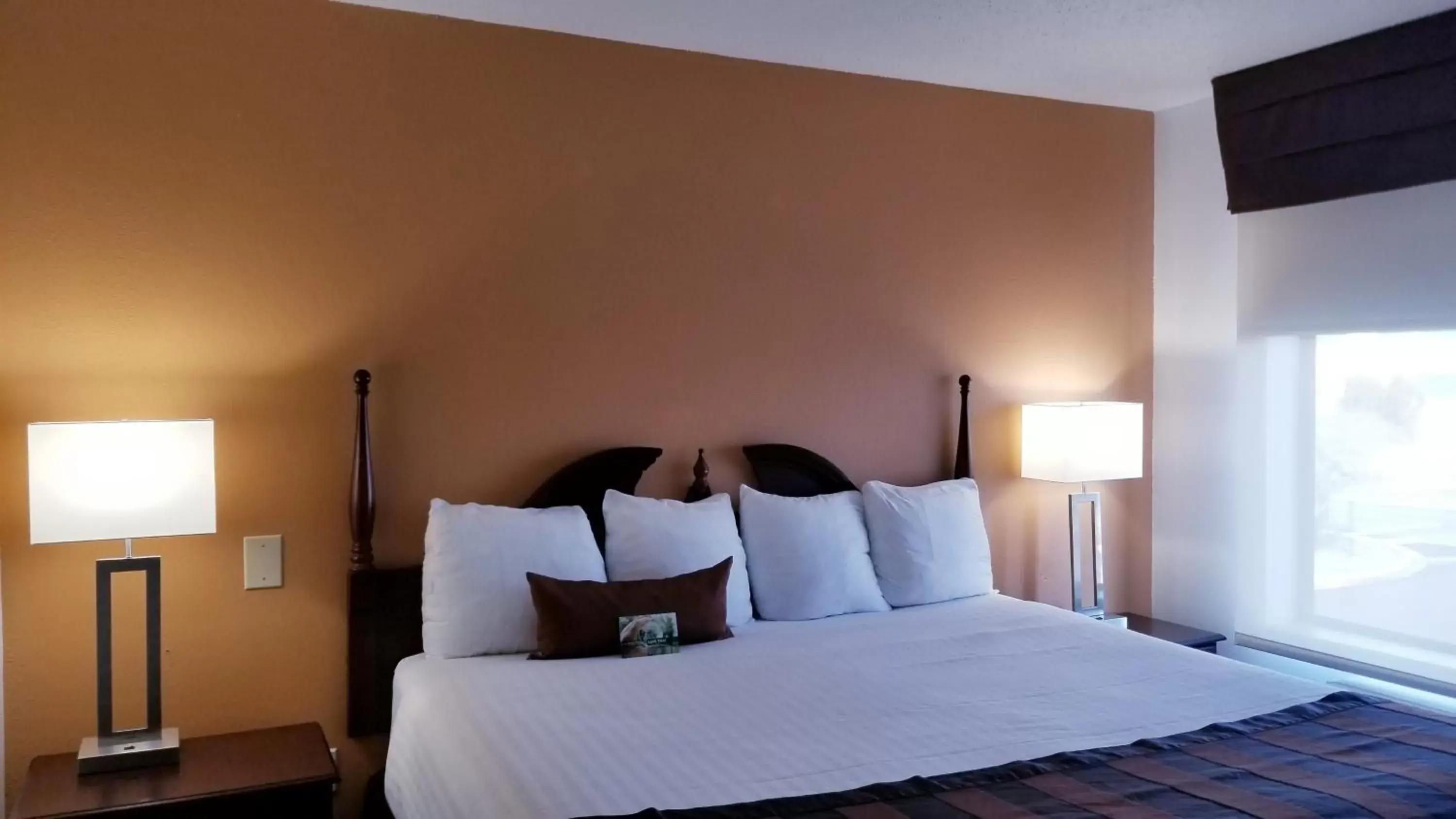 Bed in Wingate by Wyndham Airport - Rockville Road