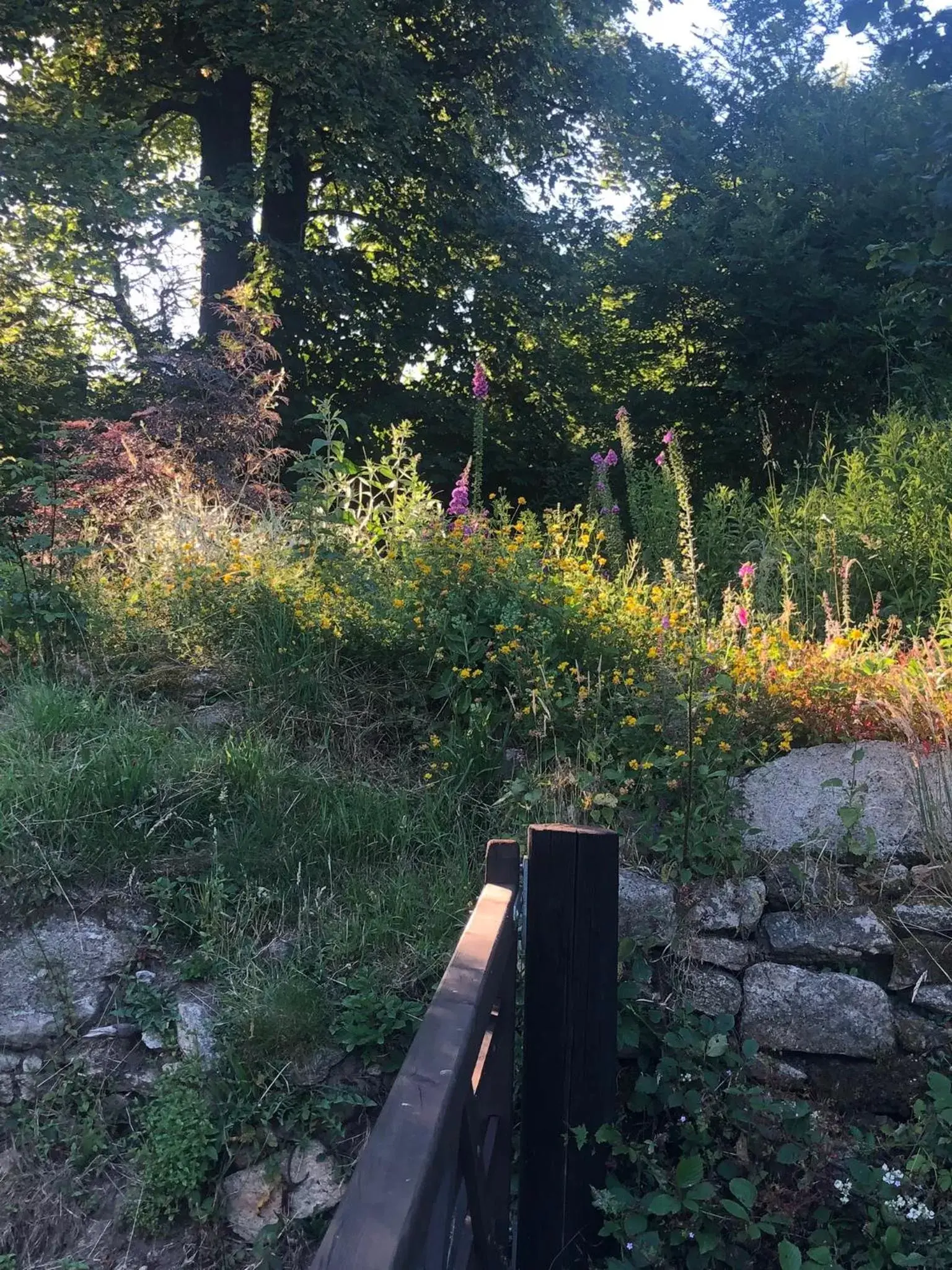 Garden in Corndonford farm