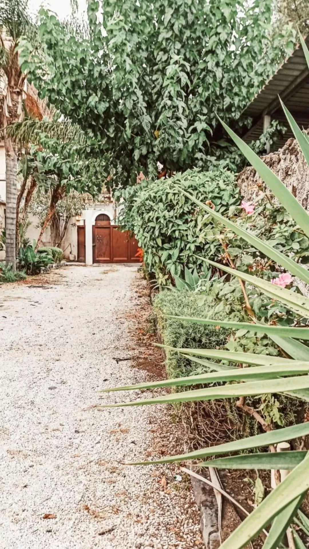 Garden in Residence La Palma