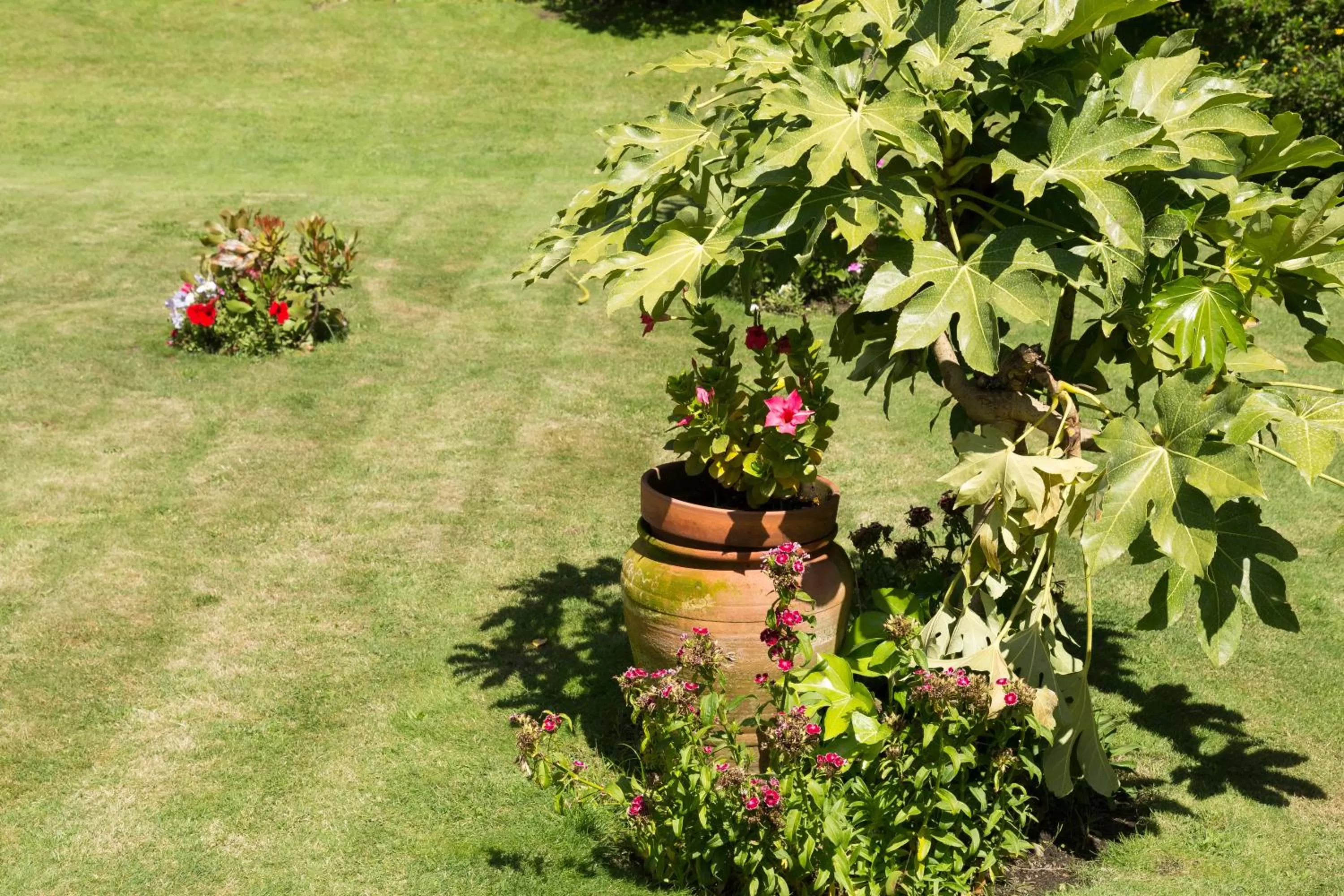 Garden in Varzinn Hotel