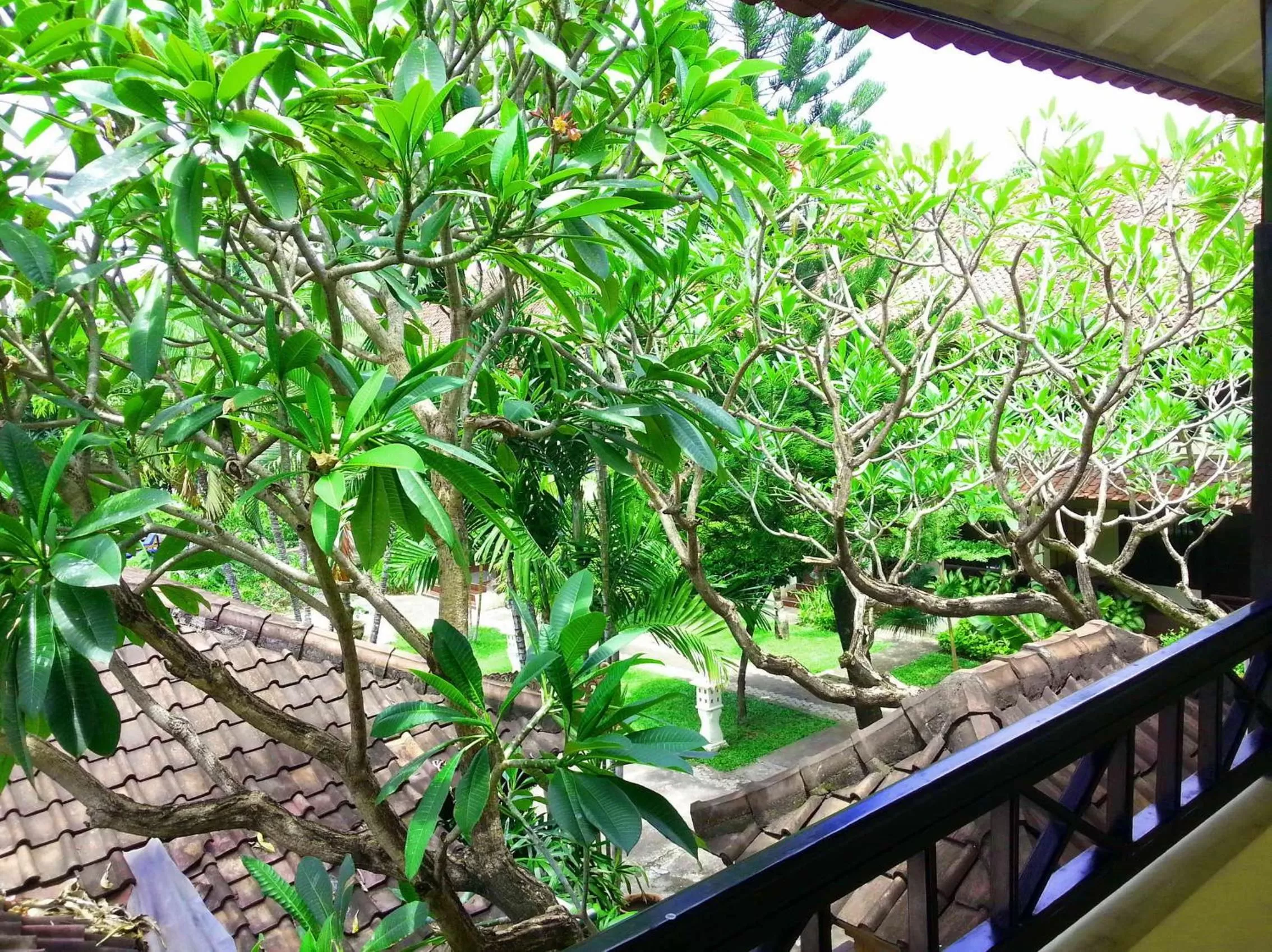 Garden in Legian Paradiso Hotel