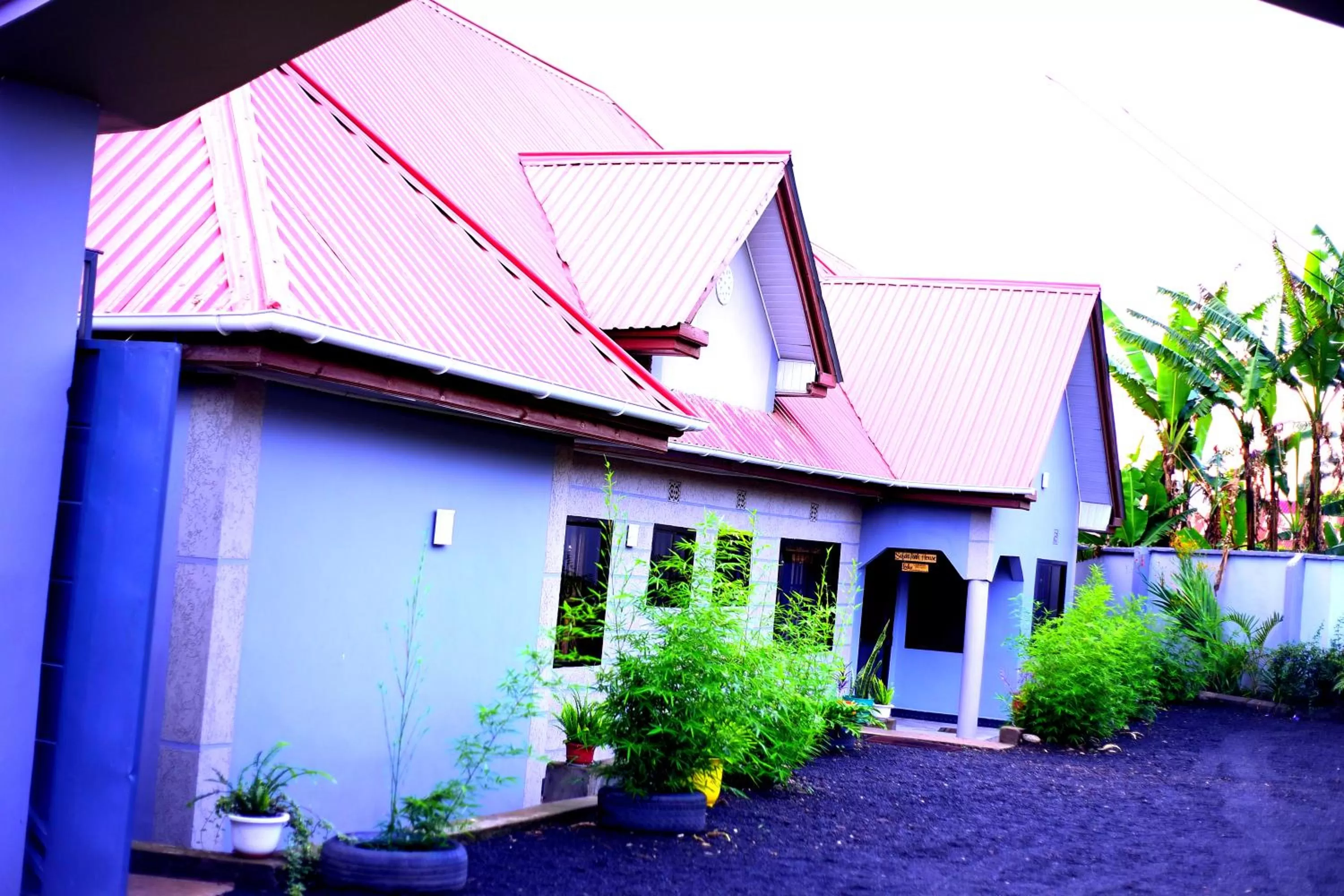 Property building in Safari Park House