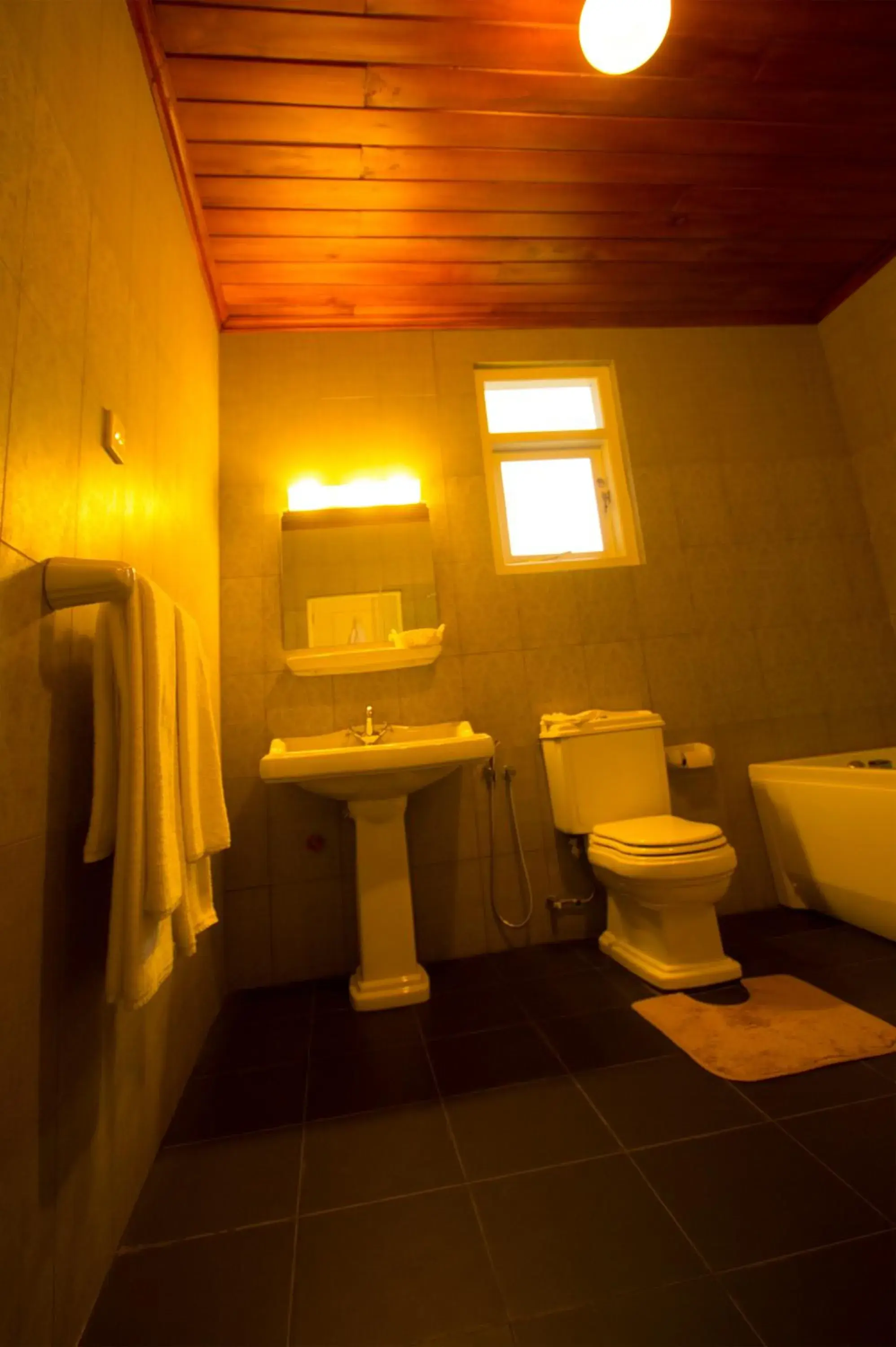 Toilet, Bathroom in The Firs