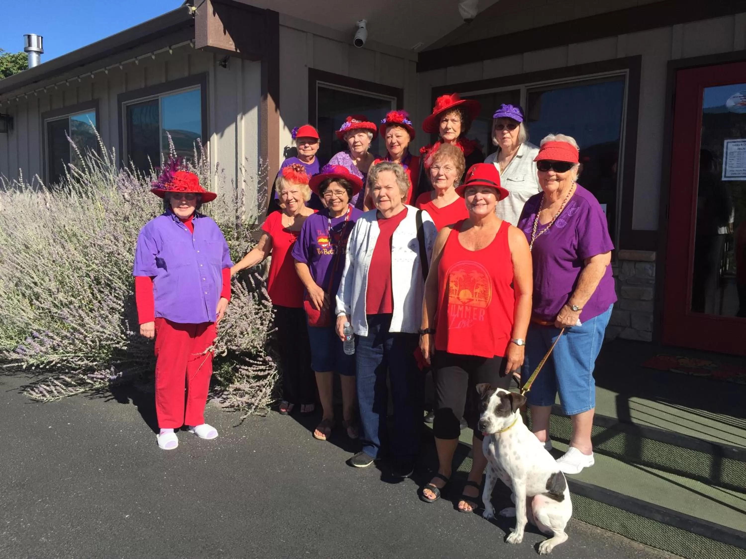 Pets in Mountain View Lodge