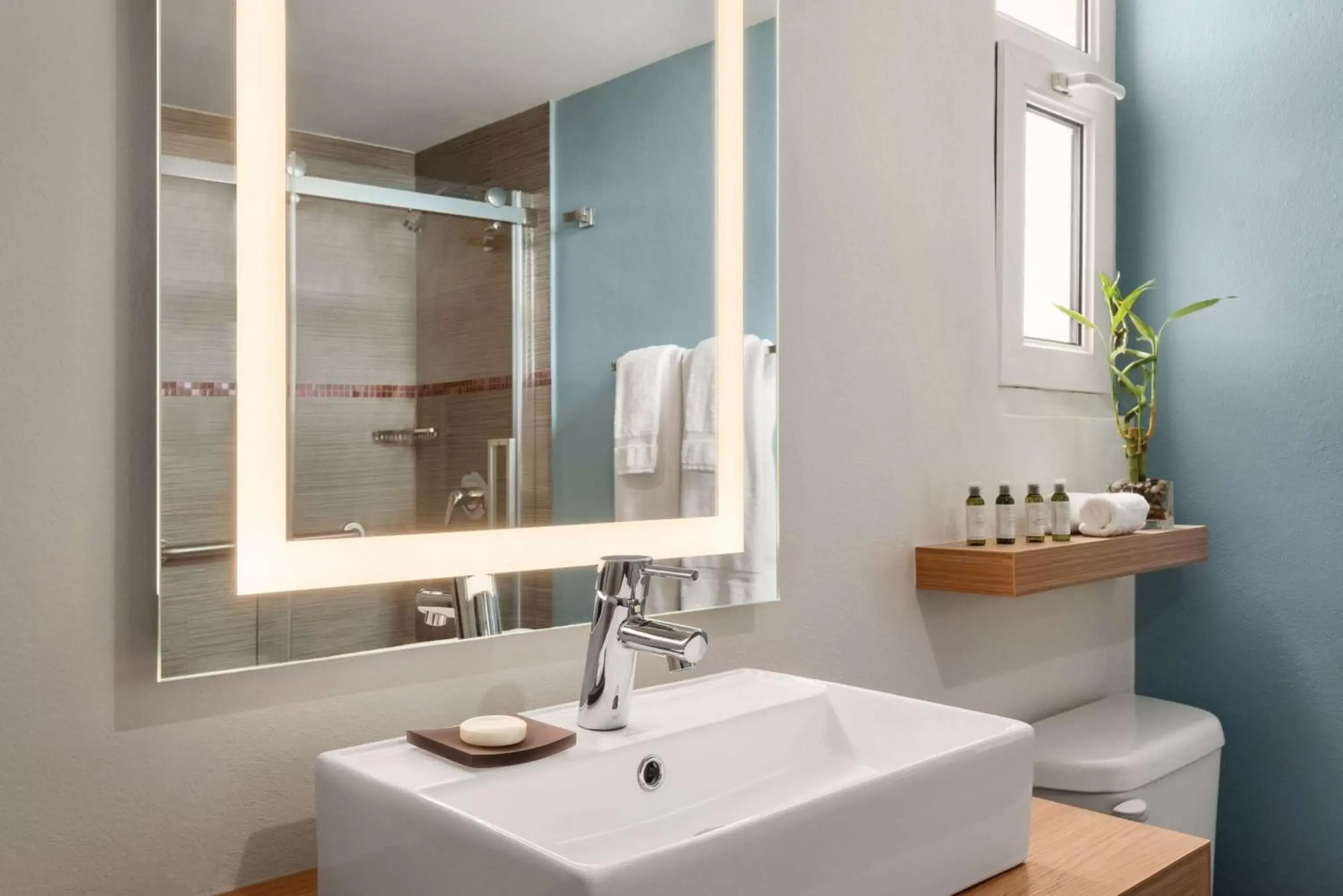 Shower, Bathroom in TRYP by Wyndham Isla Verde