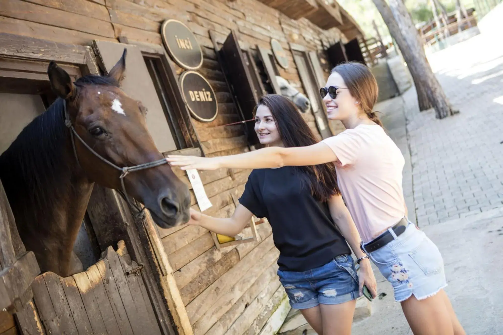 Horse-riding in Nirvana Dolce Vita