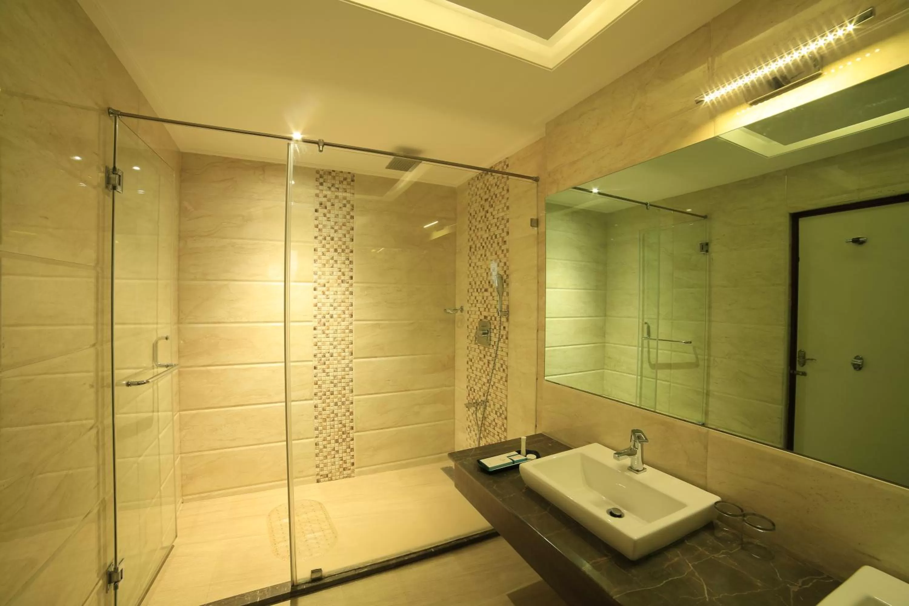 Shower in Hotel Apple Ttree