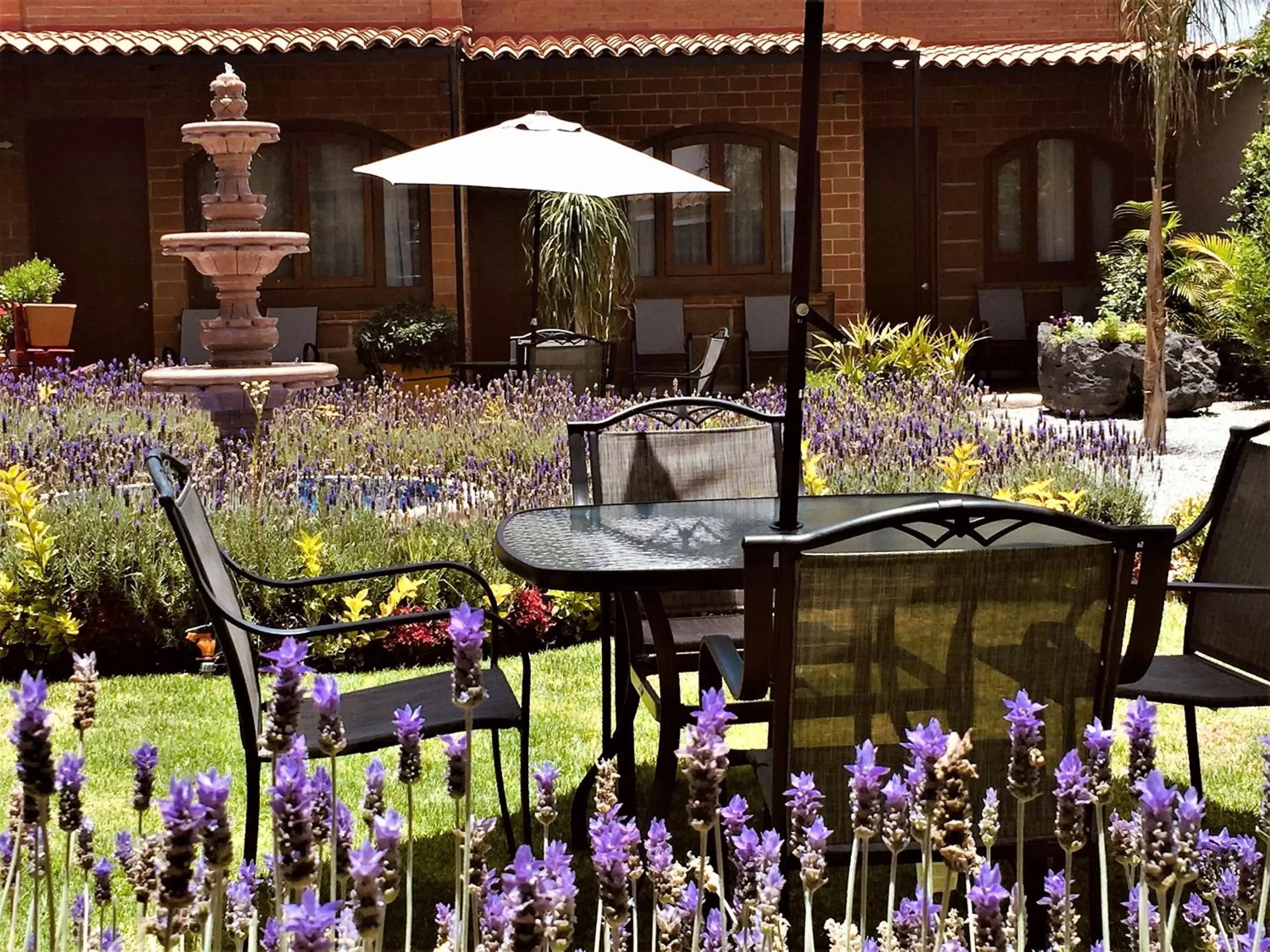 Patio in Hotel Boutique La Herencia