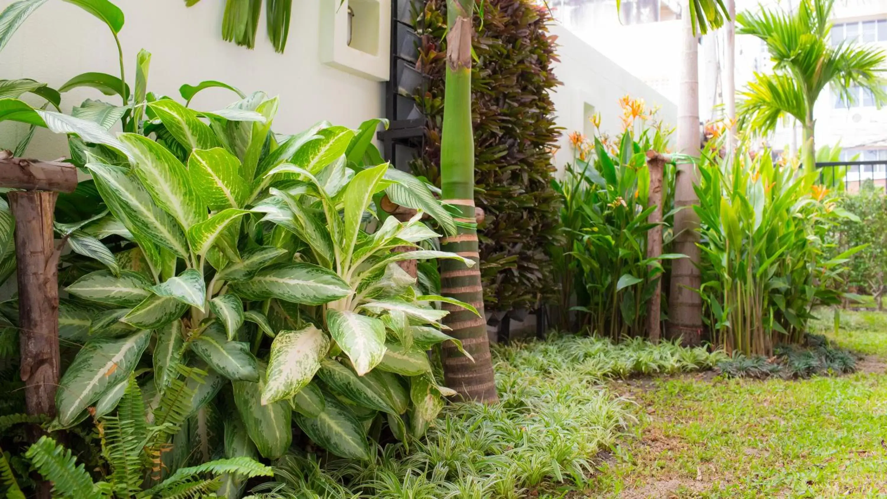 Natural landscape, Garden in Mhonsa Hotel