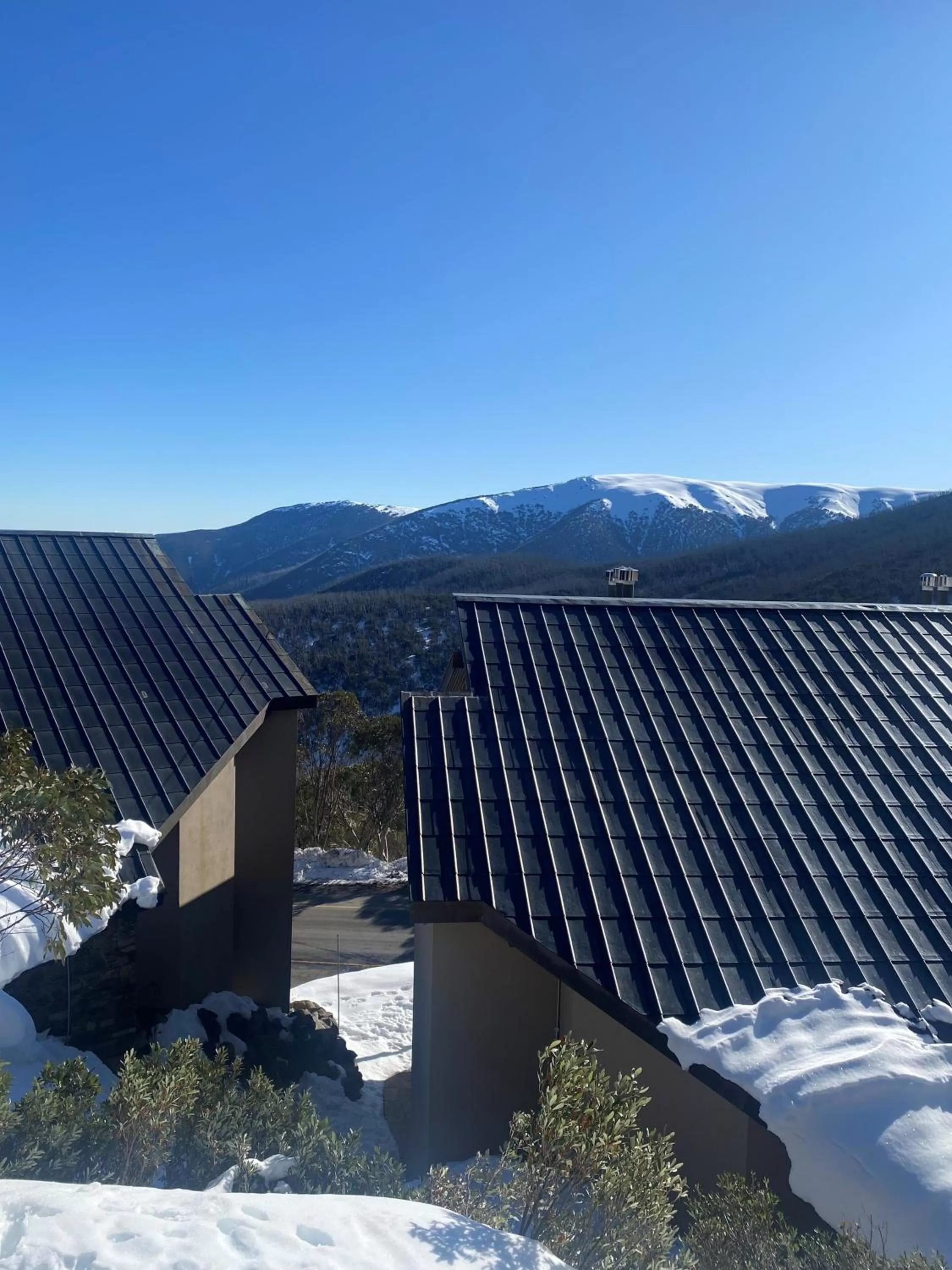 Mountain view in Alpine Woodsmoke Apartments