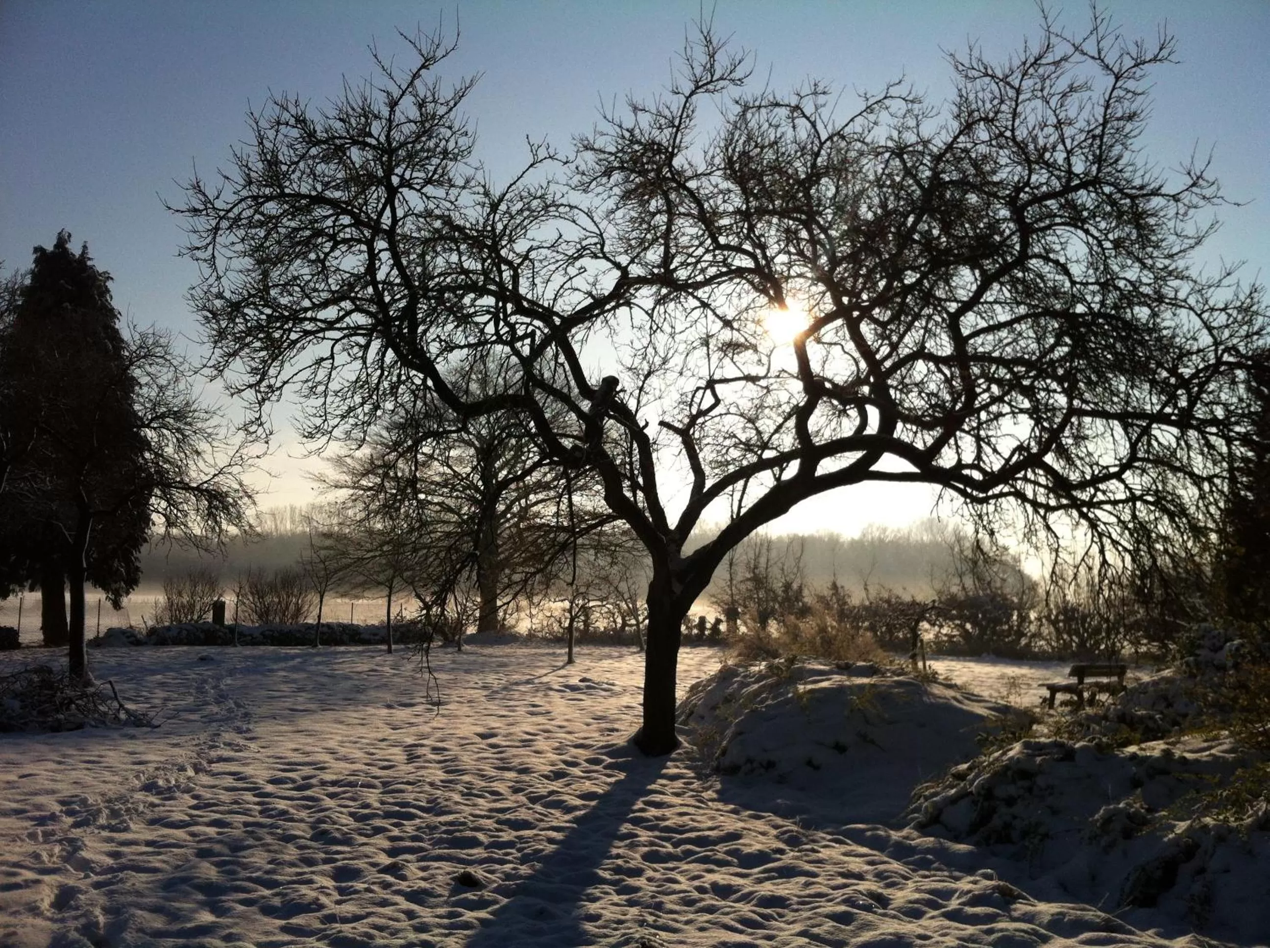 Day in World House Wetten