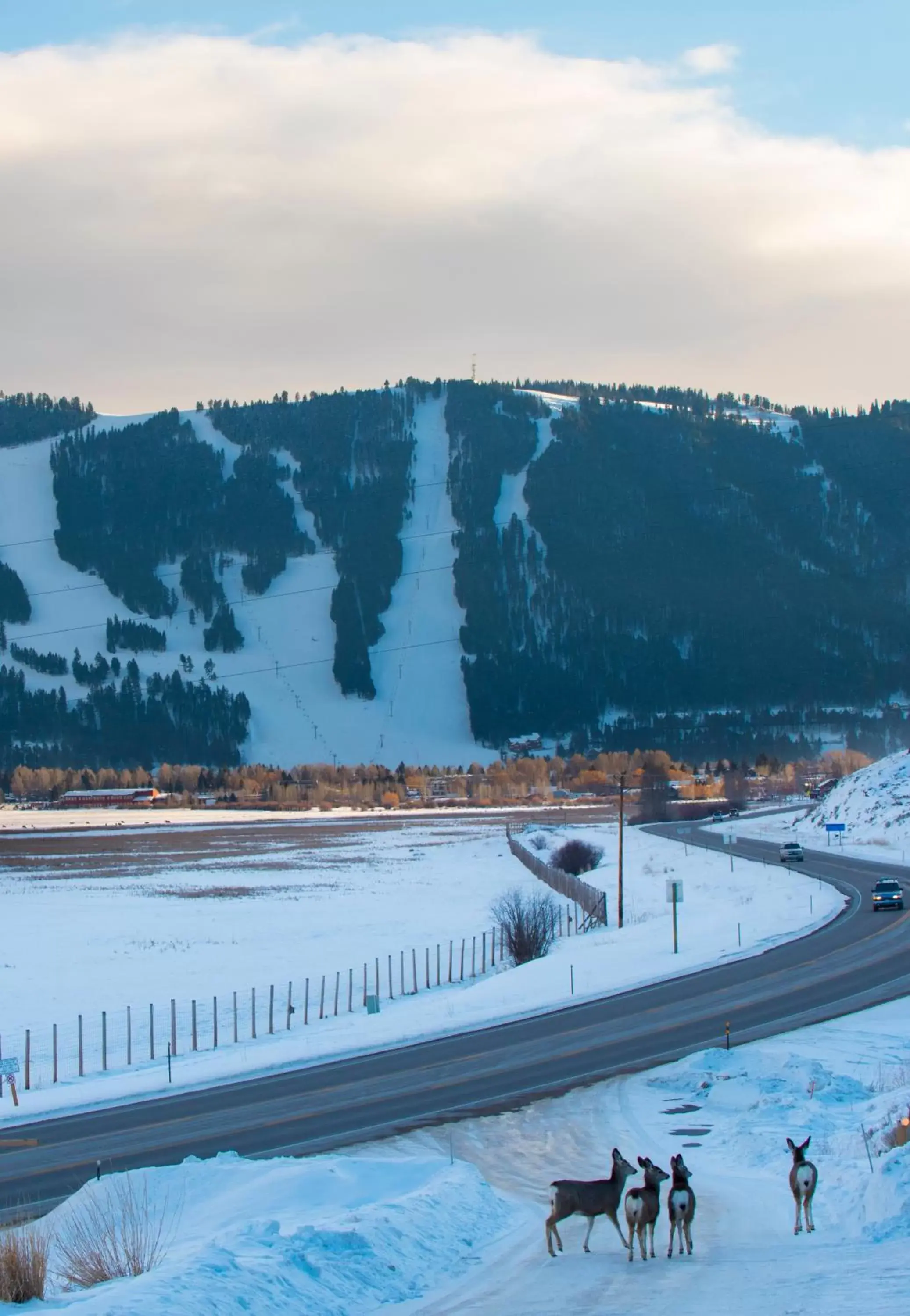 Winter in Elk Refuge Inn