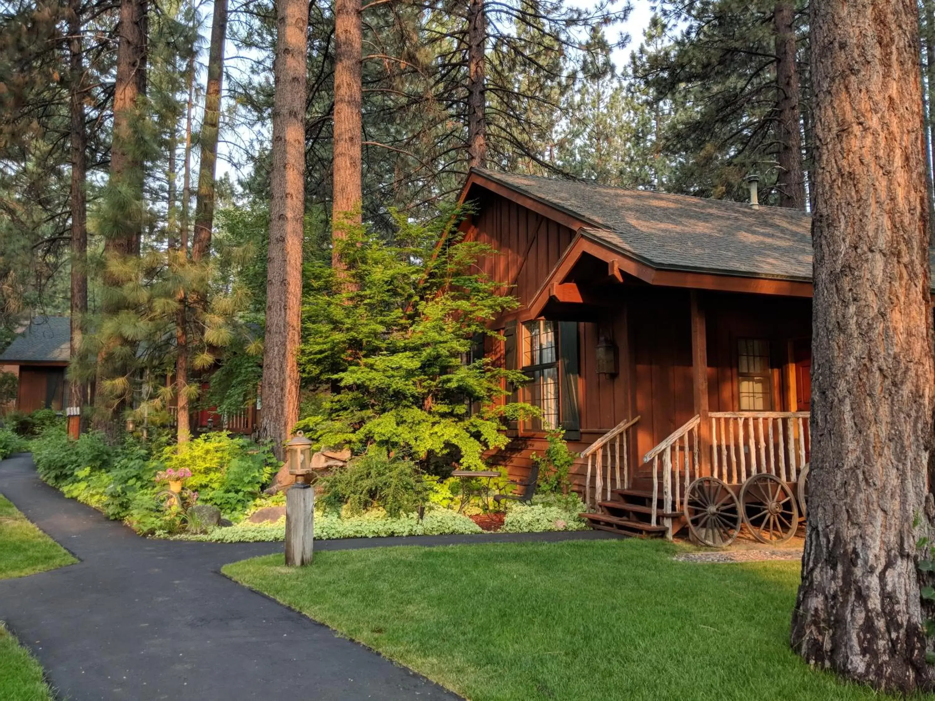 Summer, Property Building in Black Bear Lodge