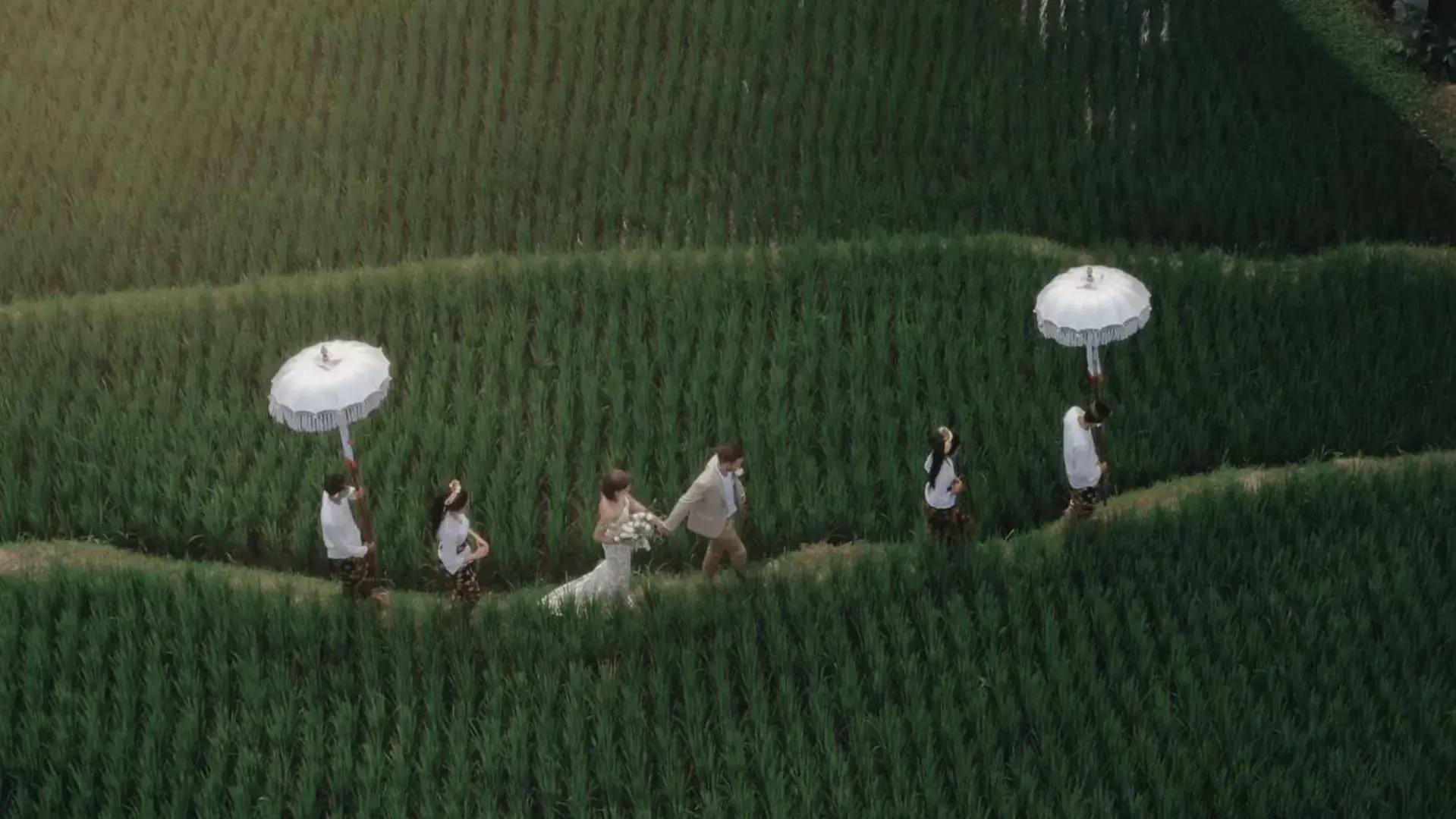 wedding, Bird's-eye View in Adiwana Bisma