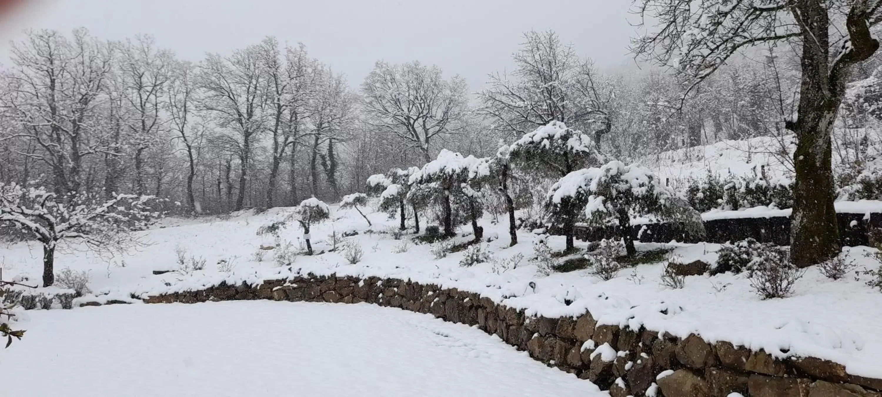 Winter in Masseria boutique b&b