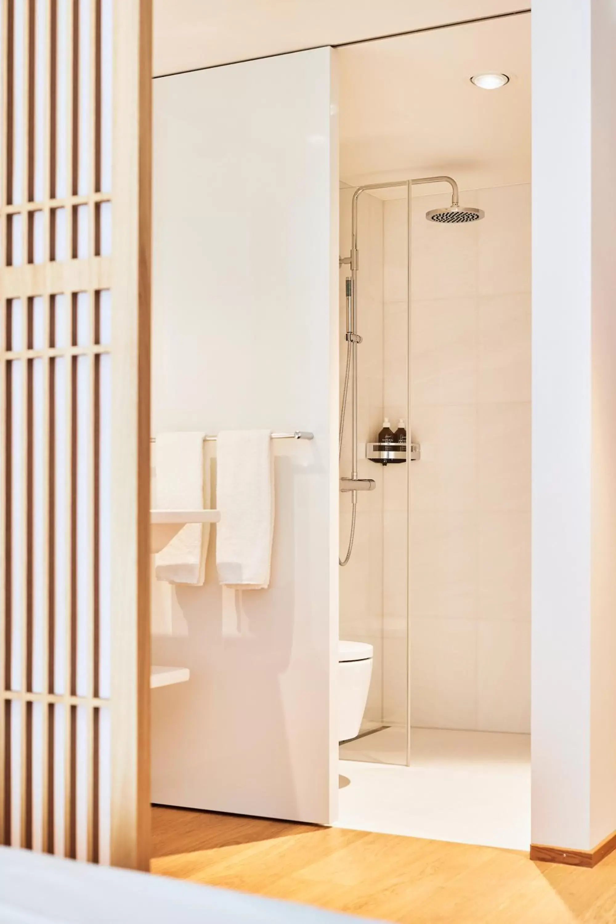 Shower, Bathroom in ART HOUSE Basel - Member of Design Hotels