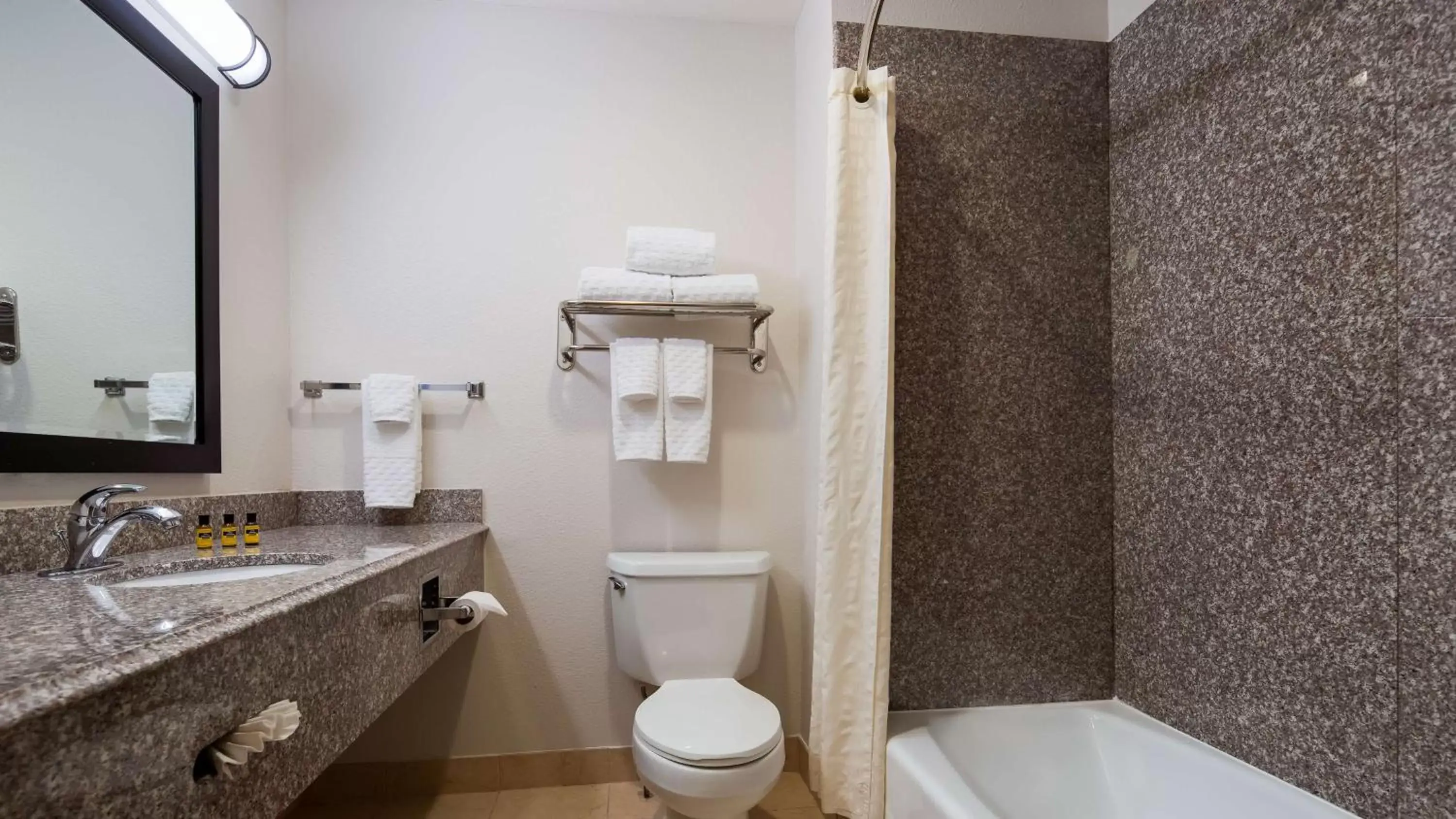 Bathroom in Best Western Plus Kansas City Airport - KCI East