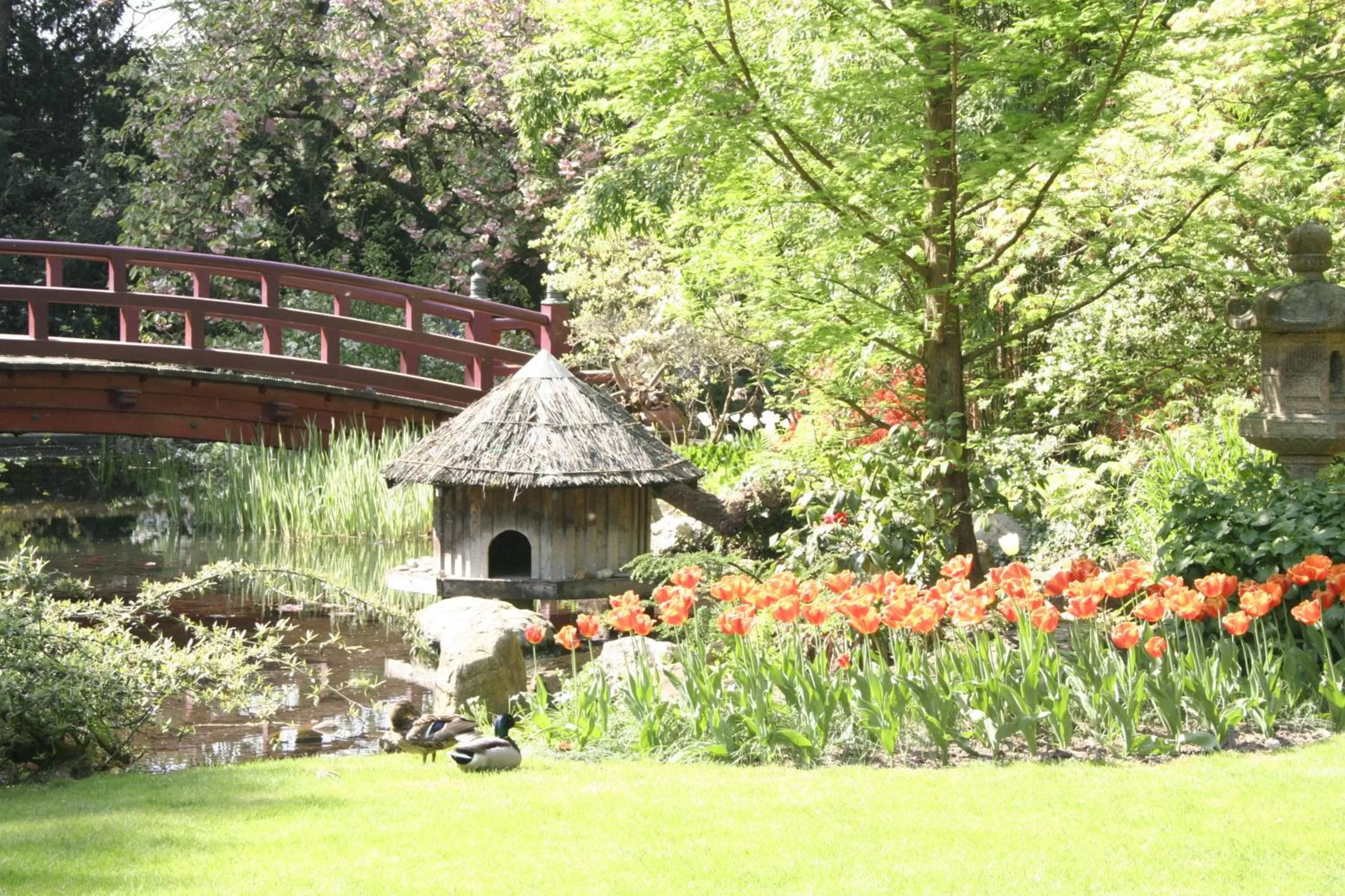 Garden in Kasino Hotel