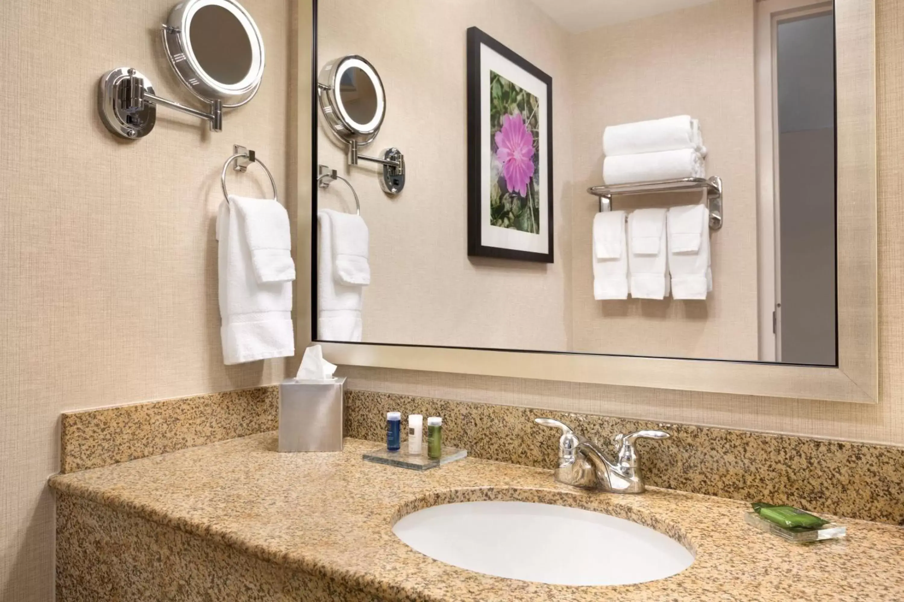 Bathroom in Delta Hotels by Marriott Helena Colonial