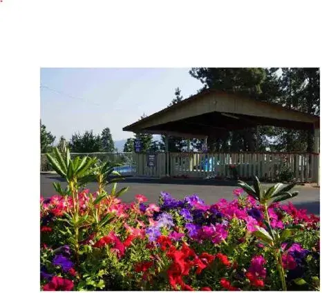 Swimming pool, Property Building in Swiss Holiday Lodge