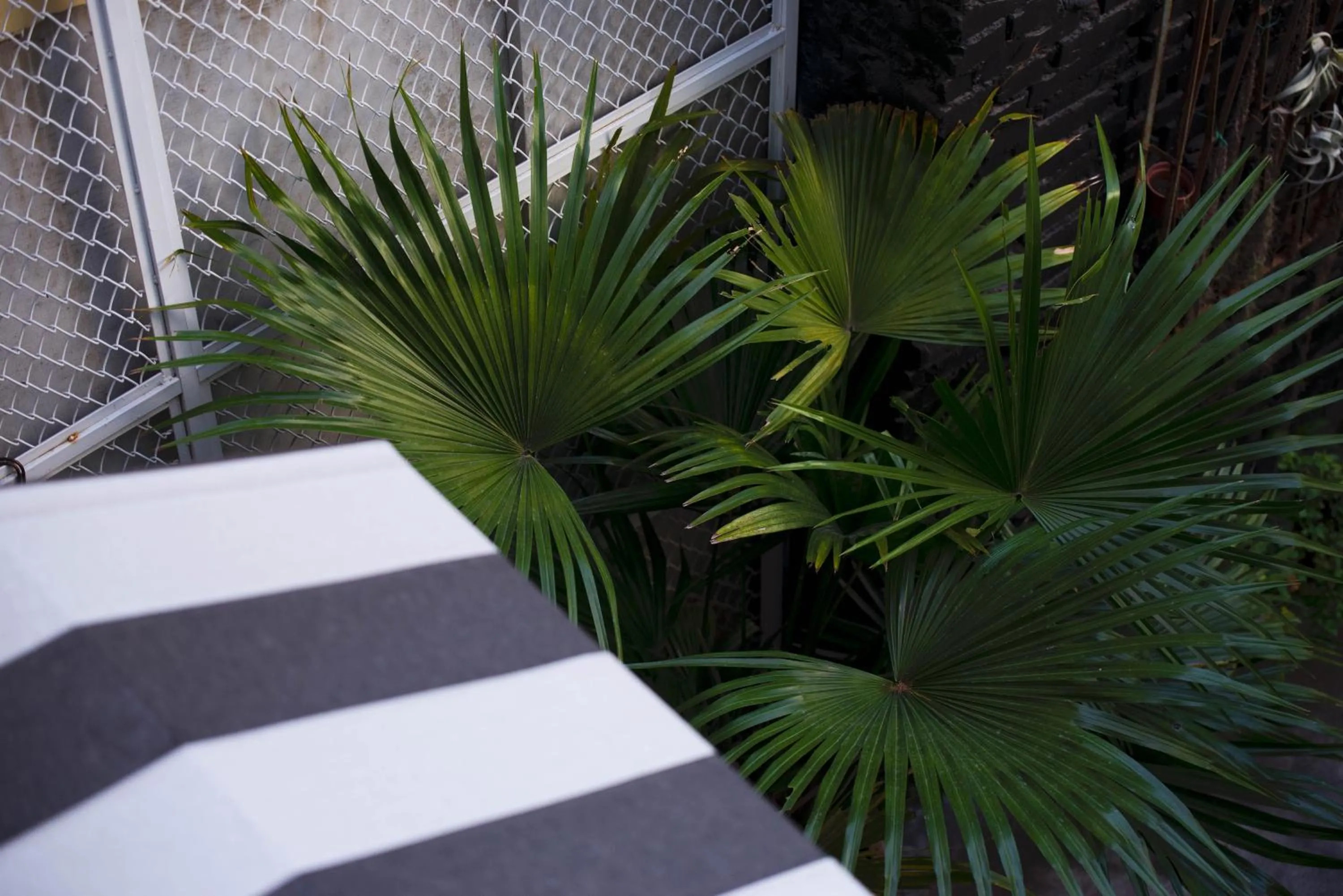 被愛咖啡小旅館 Birdeye Garden