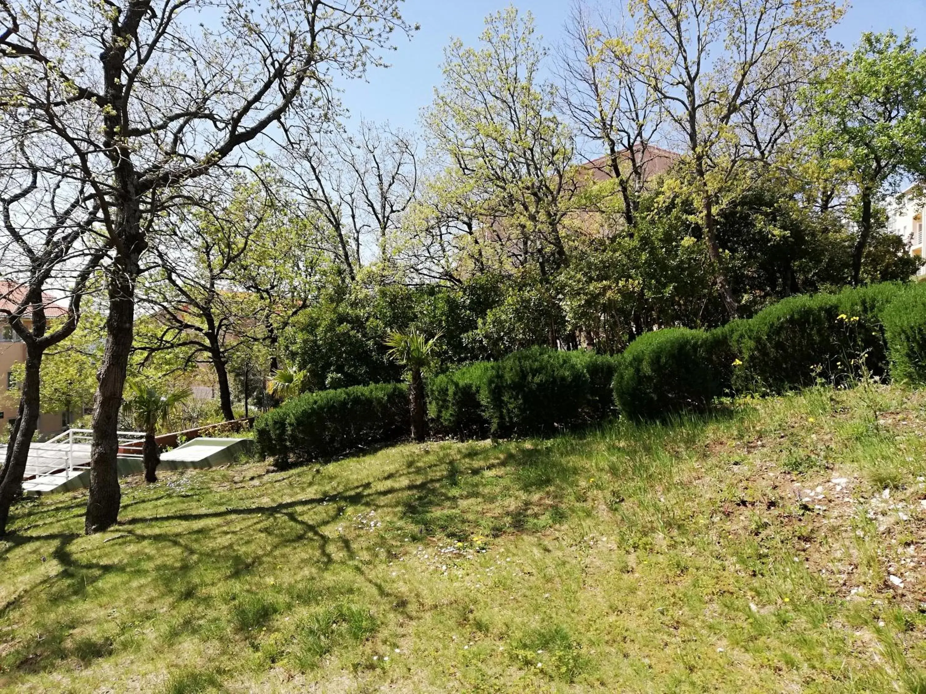 Garden view, Natural Landscape in Wyndham Grand Novi Vinodolski Resort