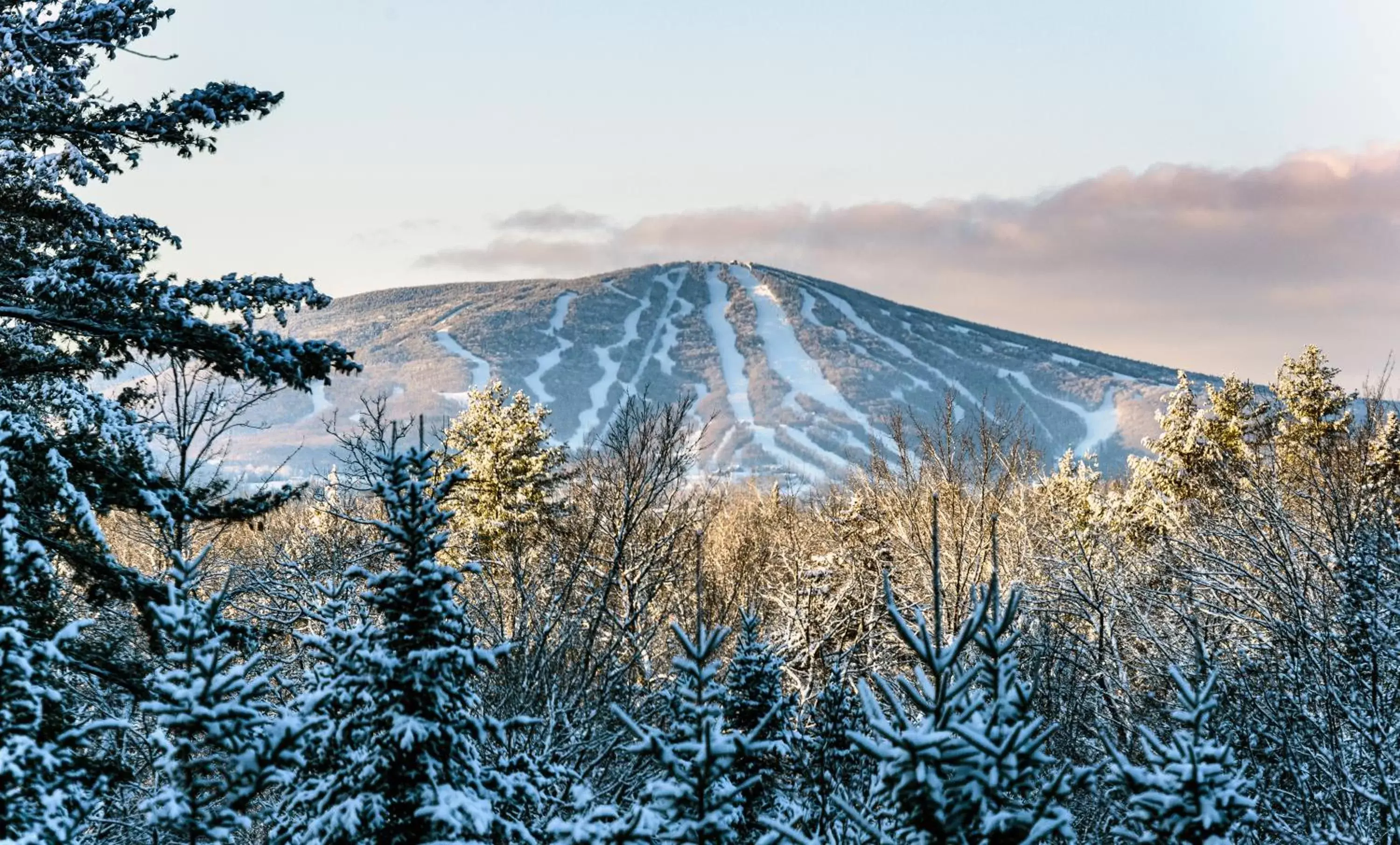 Natural landscape, Winter in The Black Bear Lodge at Stratton Mountain Resort