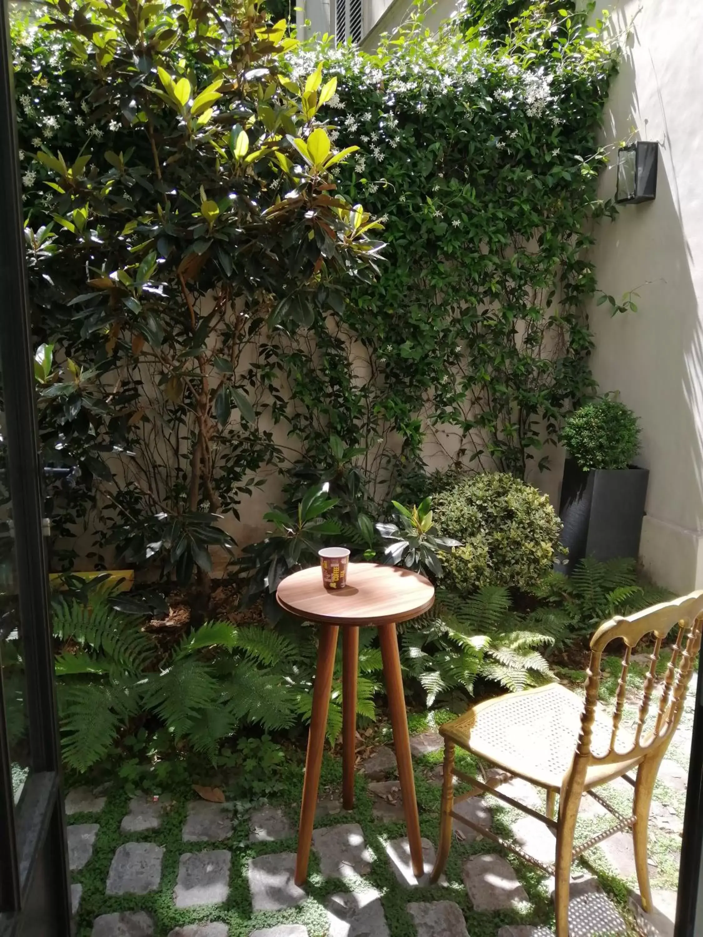 Garden, Patio/Outdoor Area in Hotel Sacha