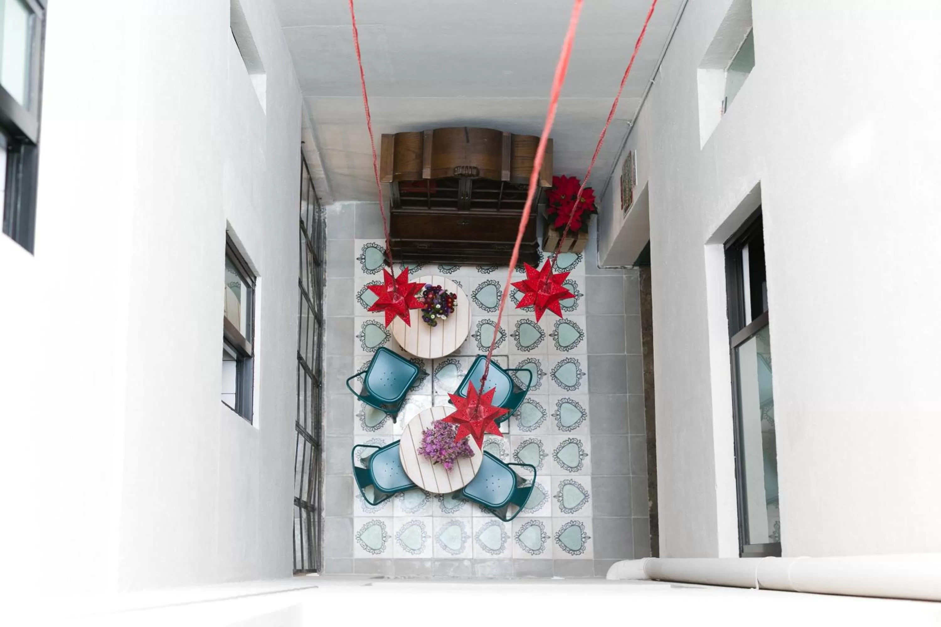 Day in La Palomilla Bed & Breakfast