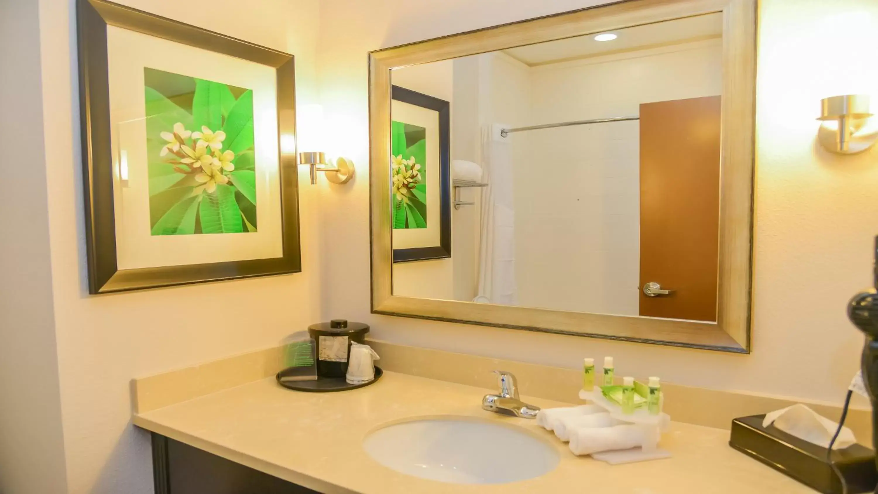 Bathroom in Holiday Inn Express Hotels & Suites Cuero, an IHG Hotel