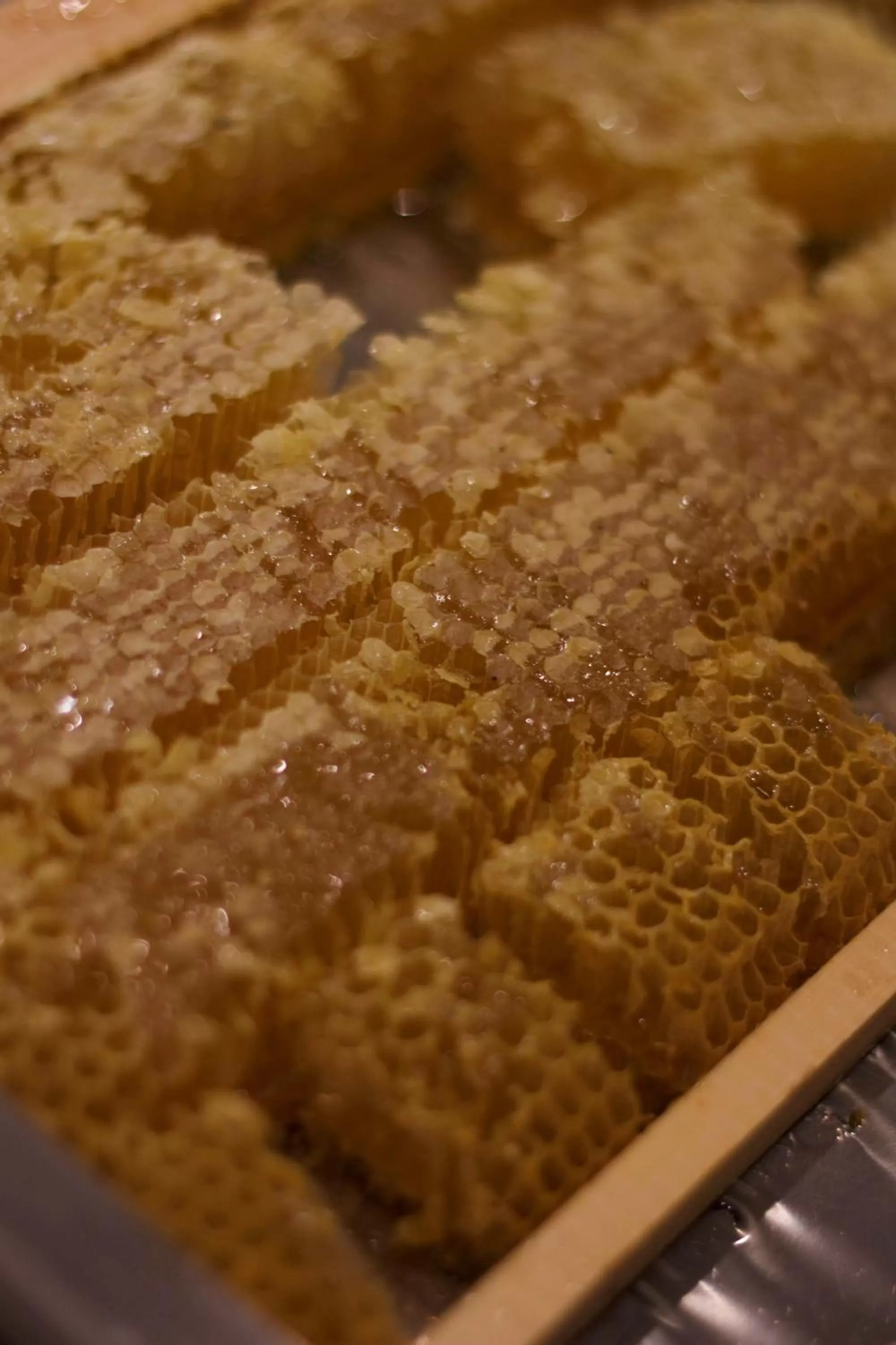 Restaurant/places to eat in Coco-Mat Hotel Athens