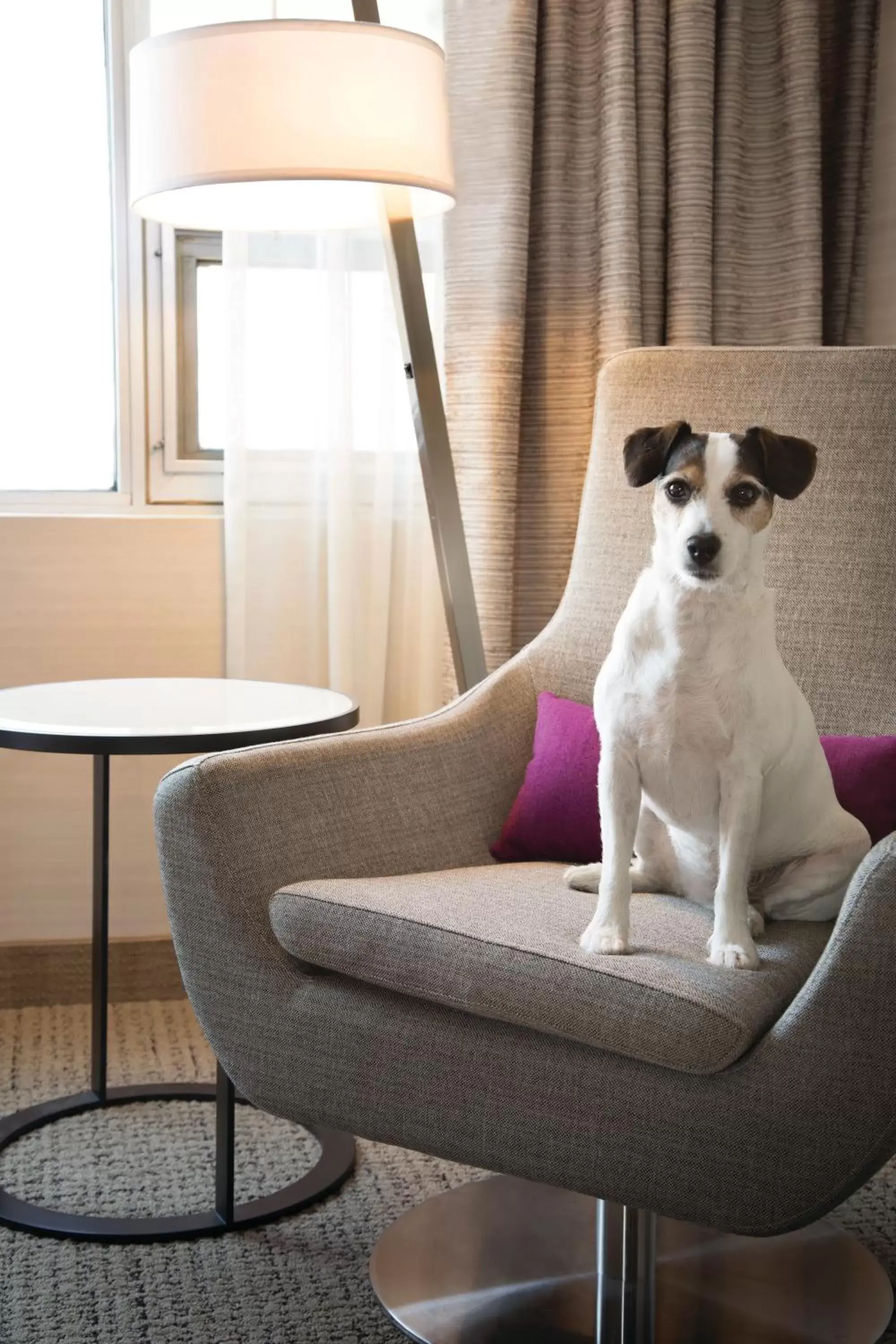 Pets in Coast Edmonton Plaza Hotel by APA