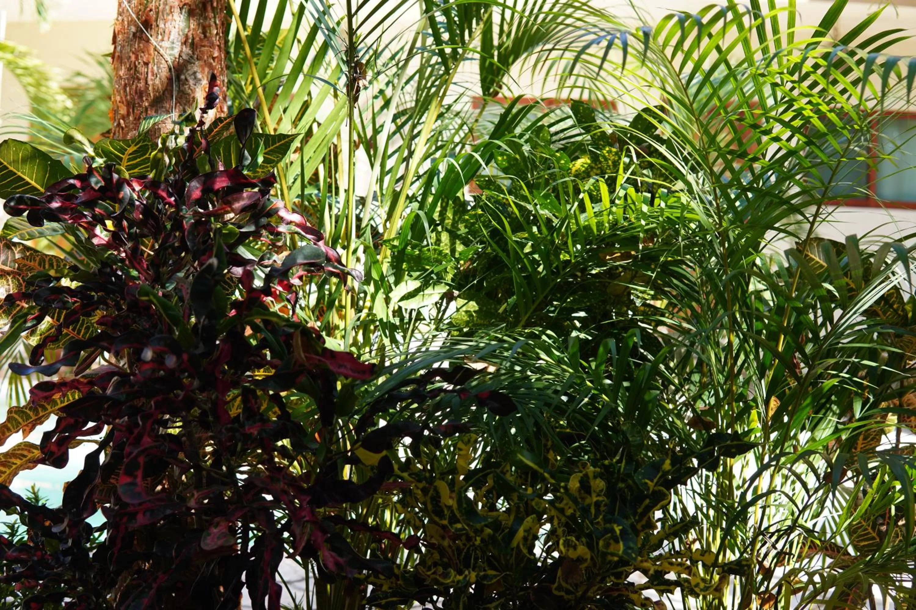 Day in Aldea San Lam - Oasis Of Tulum